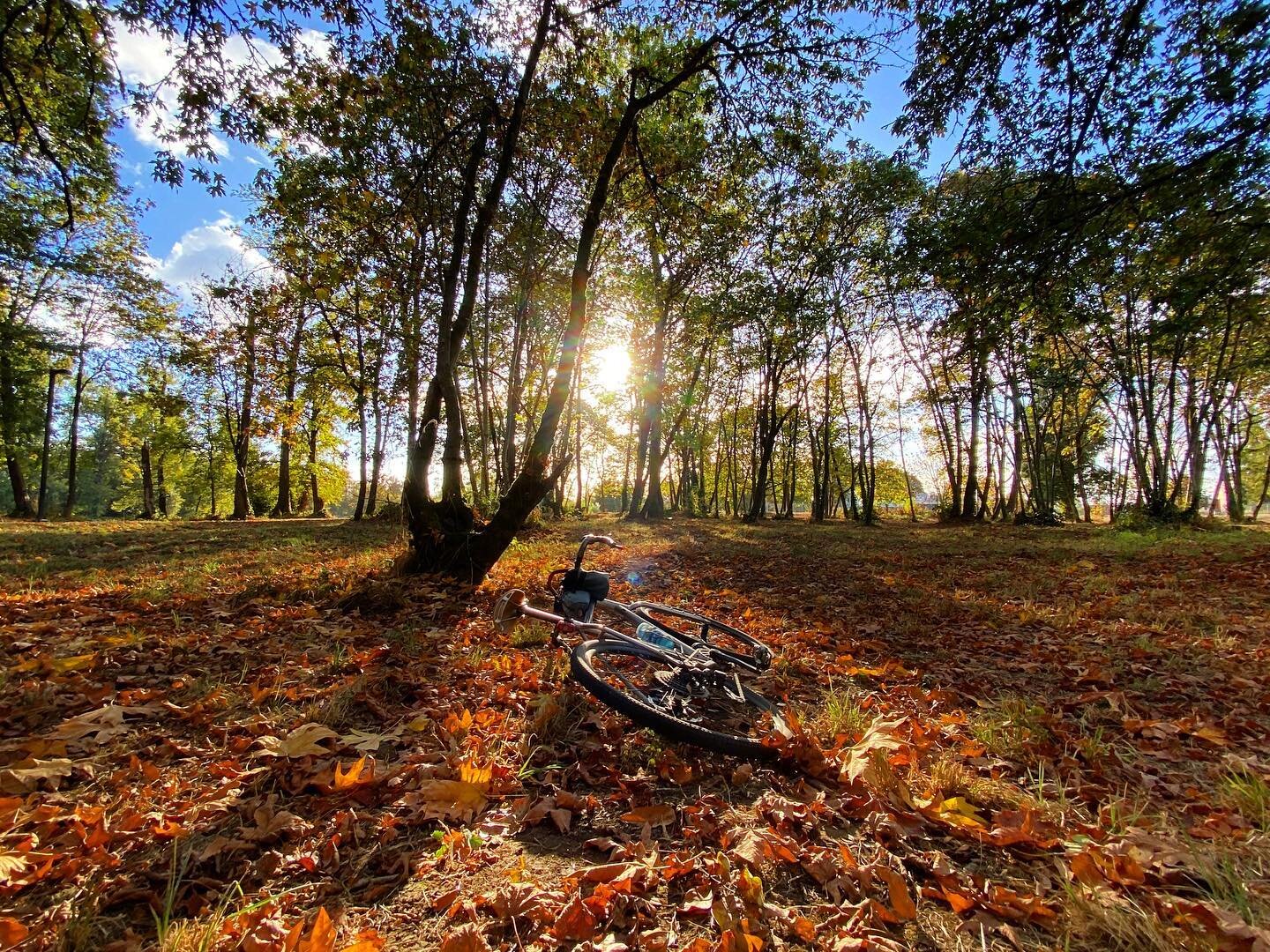 It&rsquo;s that time of the year again!
-
#fallride #autumnonthebike #pedal #bikepacking #wander #exploreeugene