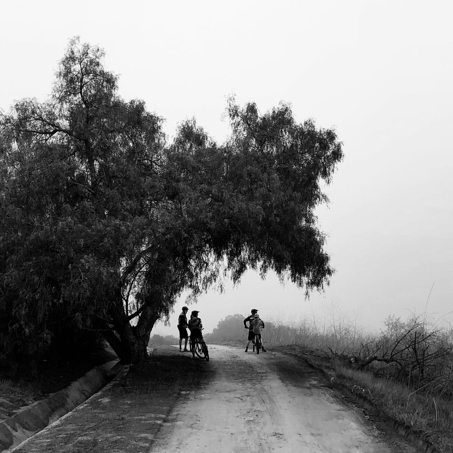 It&rsquo;s been a while since I&rsquo;ve rolled with my favorite crew in SoCal. The fog this morning reminded me of pedaling into the mist with good friends, time to get out on the trails.
-
-
#trailriding #bikepacking #wanderbybike #awesomes #blacka