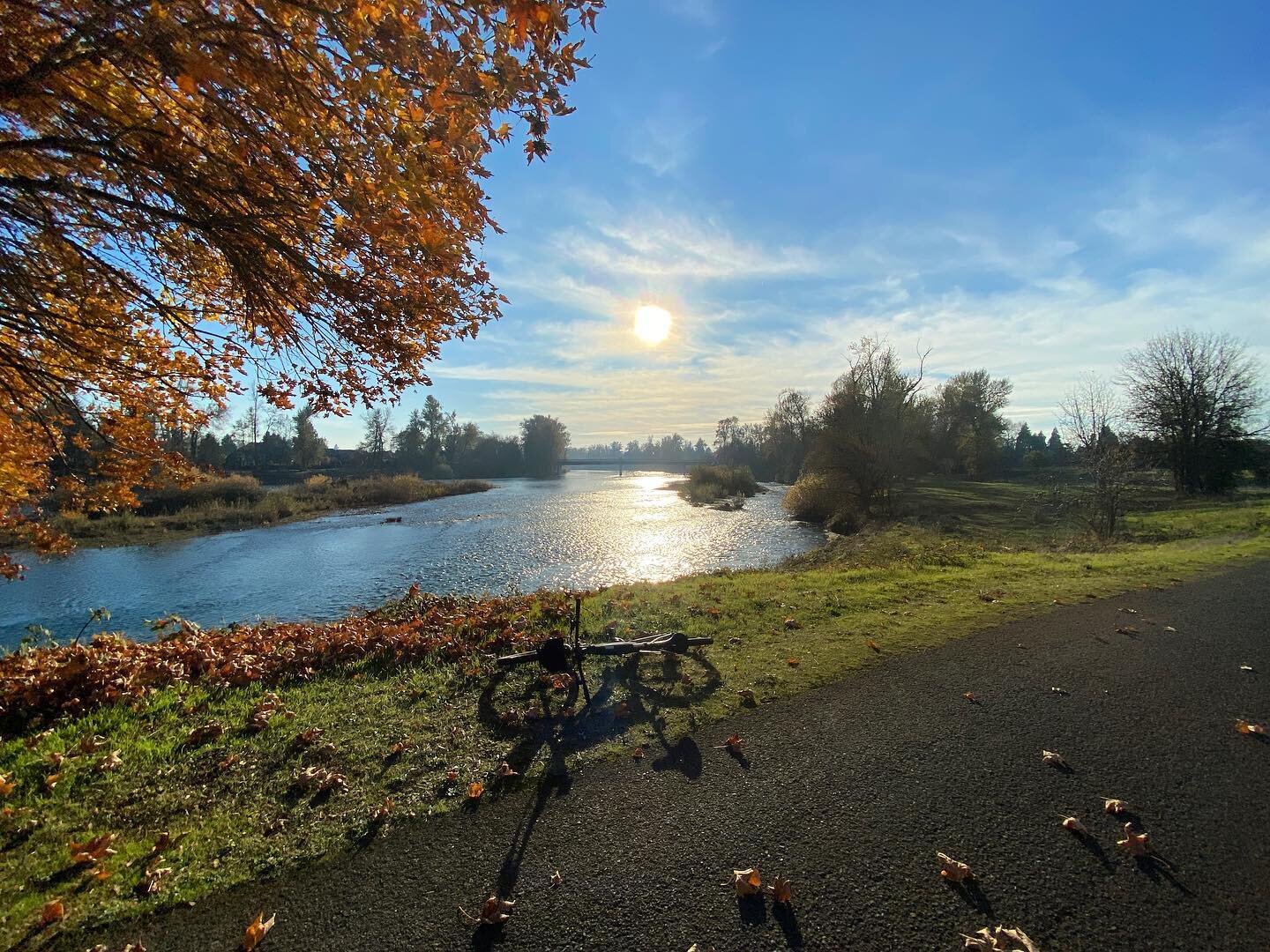 Not a terrible day for an errand ride!
-
#bikeerrands #bikeerrandsarefunerrands #postofficeride #bikepacking