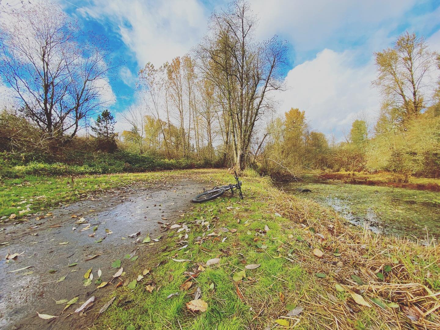 A break between the rain, a little wander on 2 wheels, a couple of geocache finds, with a heron thrown in for good measure. All in all a perfect little ATB ride!
-
#allterrainbike #explorebybike #geocachebybike #bikepacking #exploreeugene