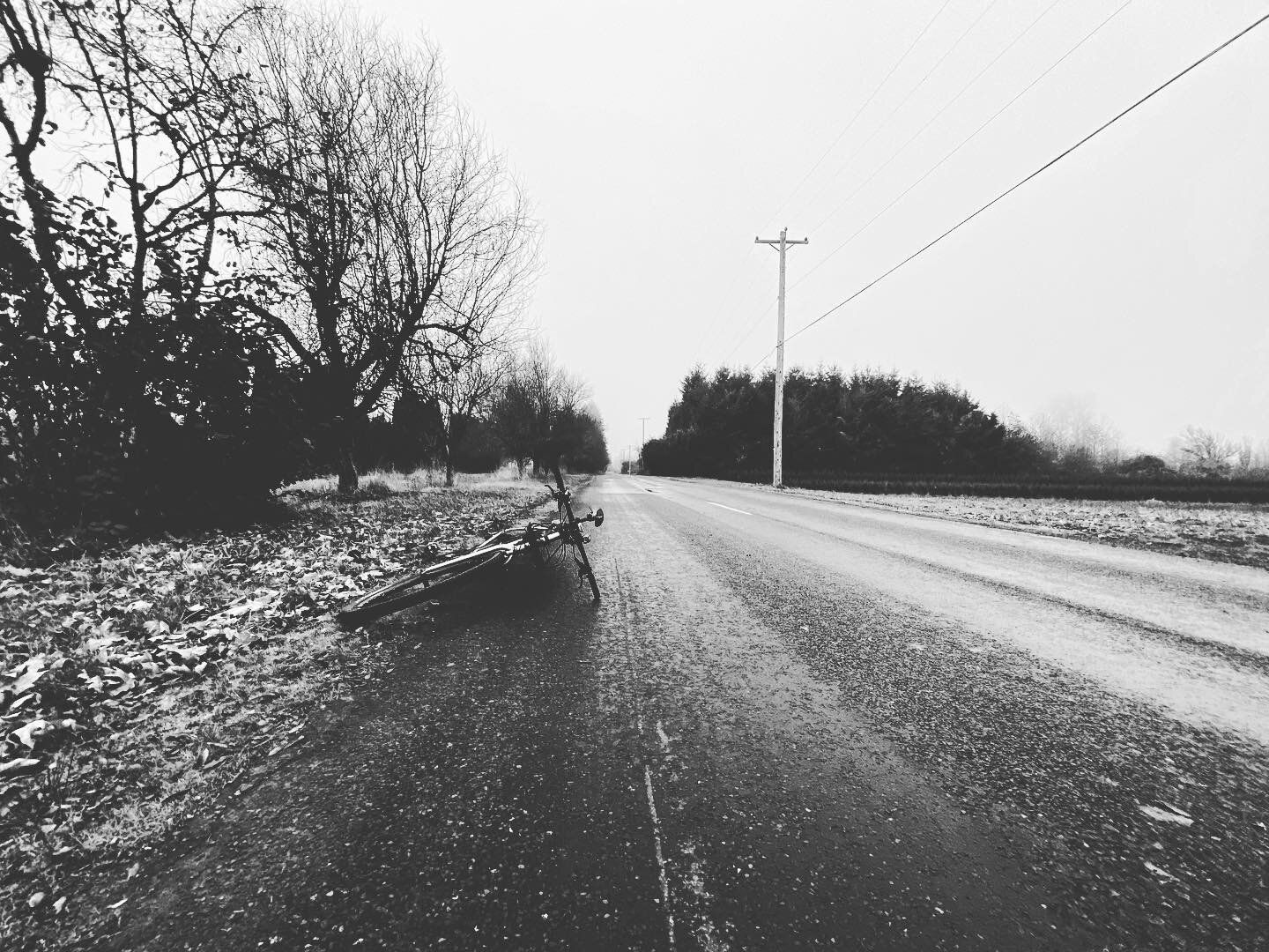 Drizzly, misty day ride, still better than sitting at my desk!
-
#exploreeugene #wander #rainydayride #bikepacking #blackandwhite