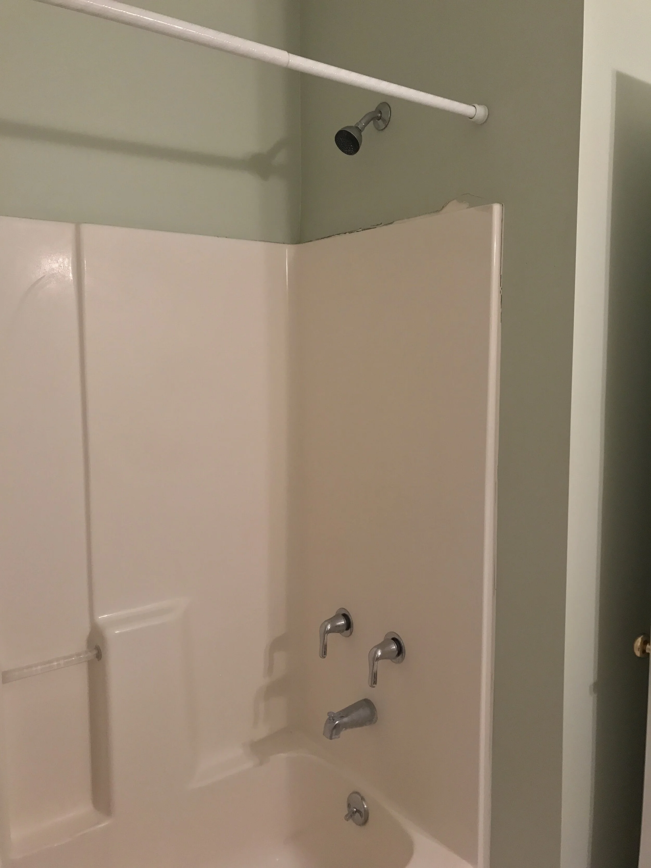 Guest_Bath_Shower_BEFORE_IMG_0419.JPG