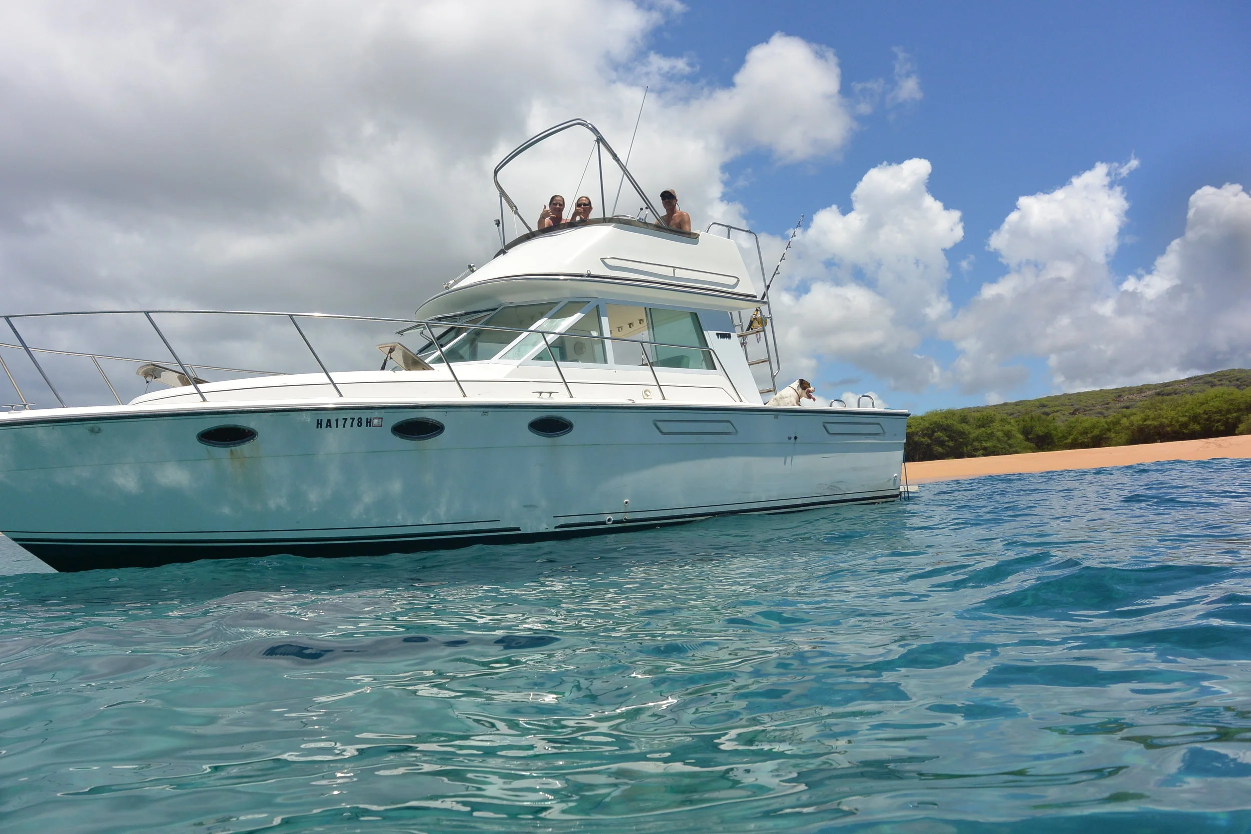 Full Day Private Charter 895.00 up to 6 people. Sea cliffs 995.00. We serve snacks,soft drinks and coffee these prices are for the boat not per person 