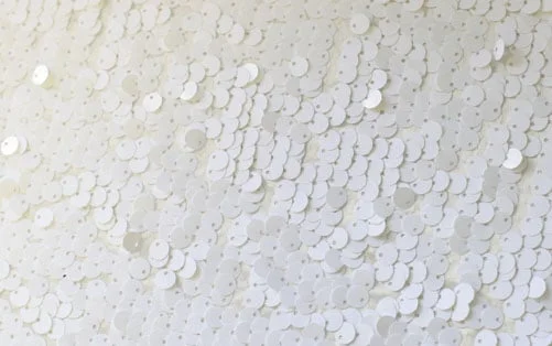 169payettesmallwhite.jpg