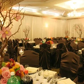 Full Draping