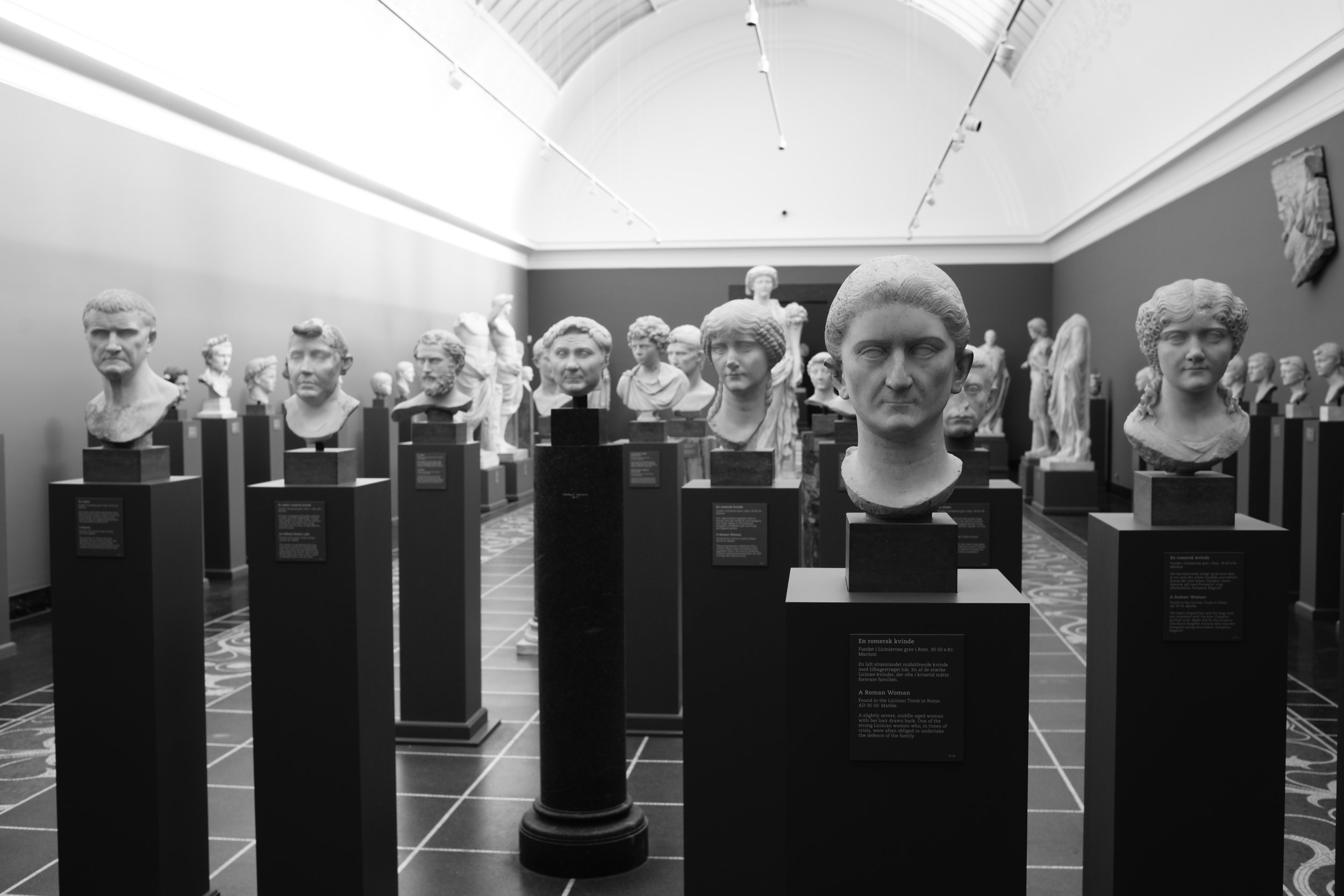 Carlsberg Glyptotek, Copenhagen, Denmark 3