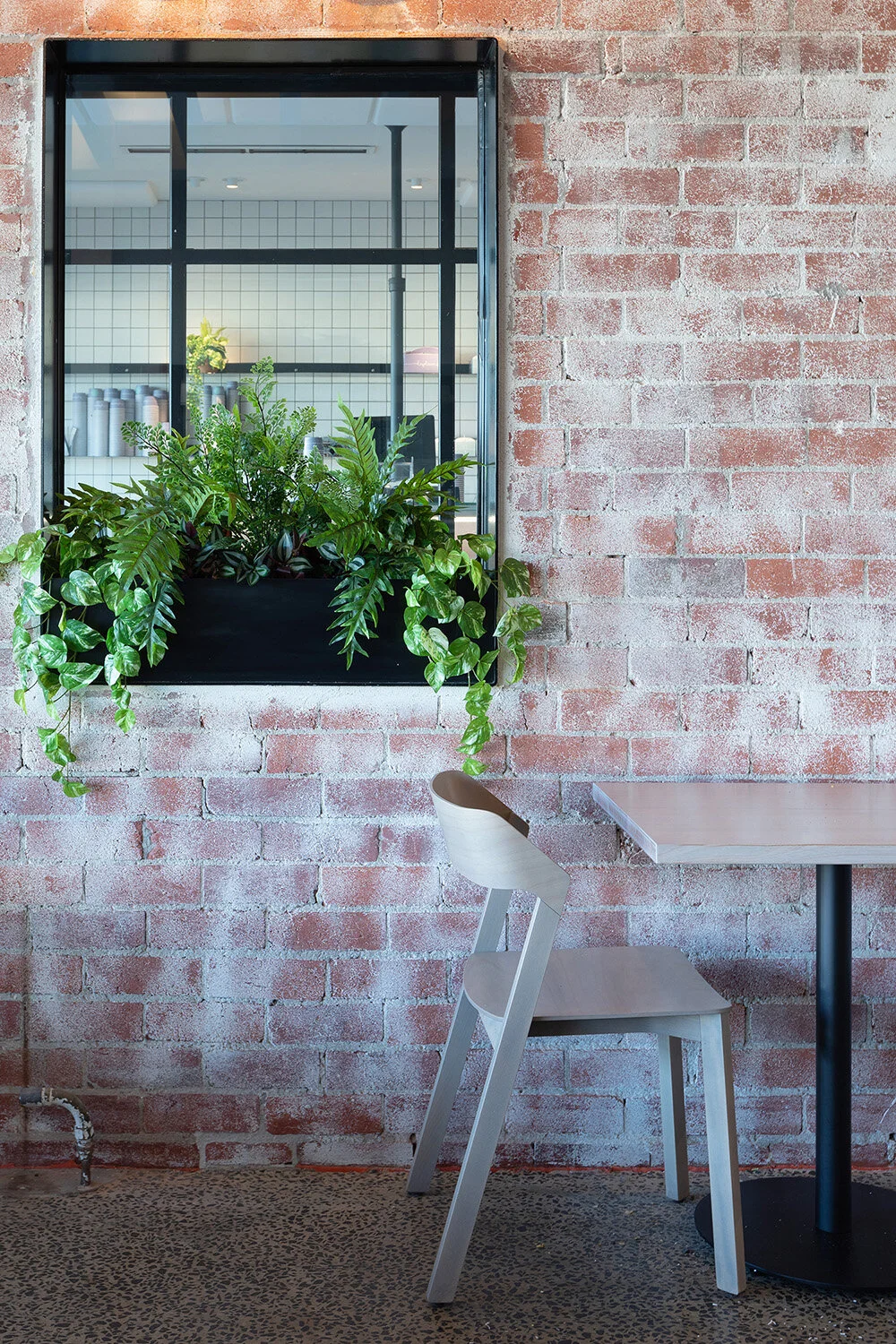 Daydreamers, Beaconsfield, Victoria.