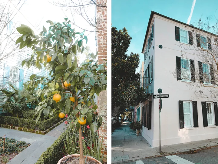 Charleston 8.jpg