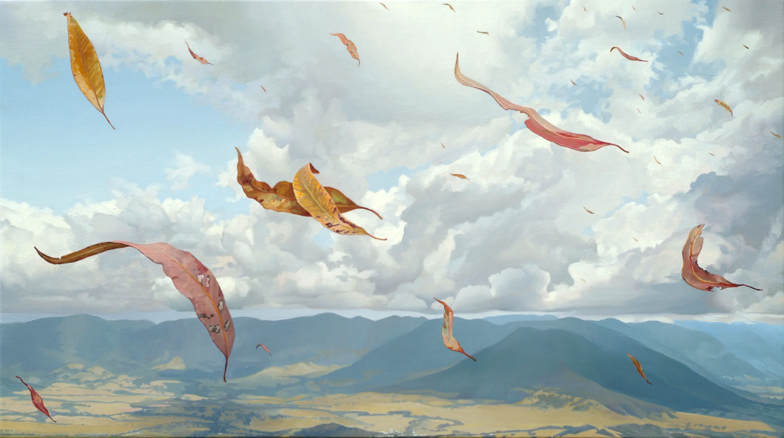Final Study for Dry Rain