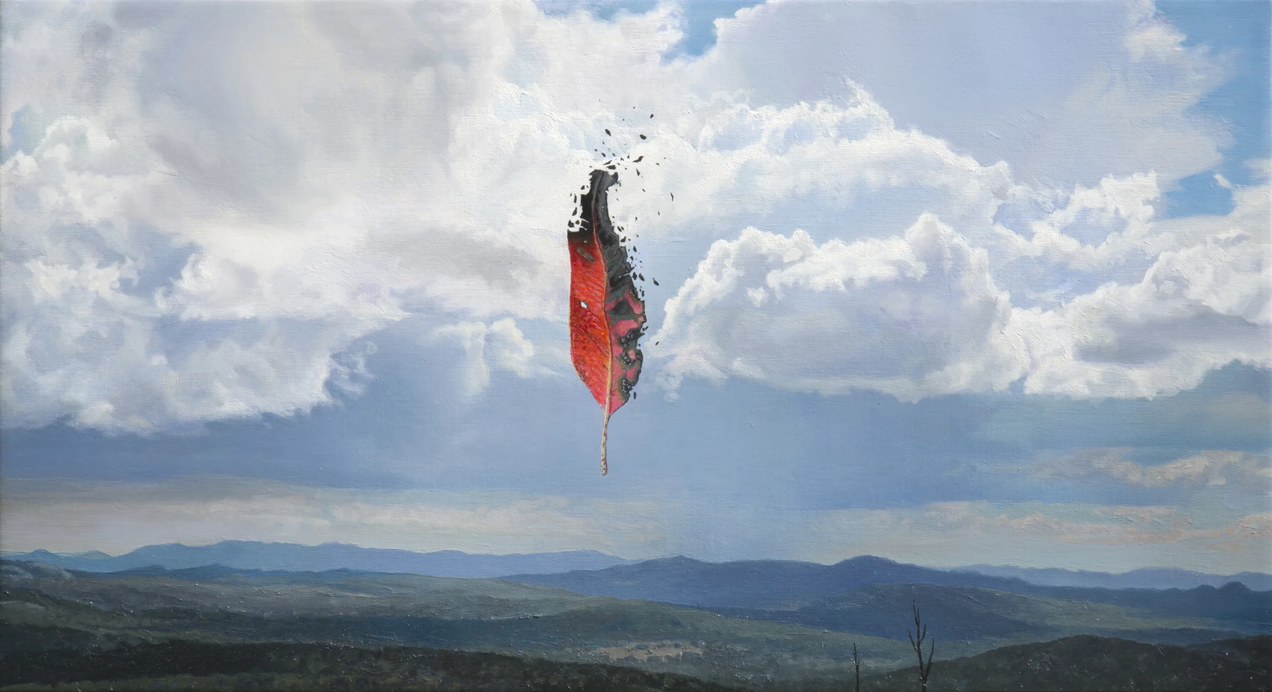 PORTER_Fire Index-Extreme_oil linen_30x55cm_2013.jpg