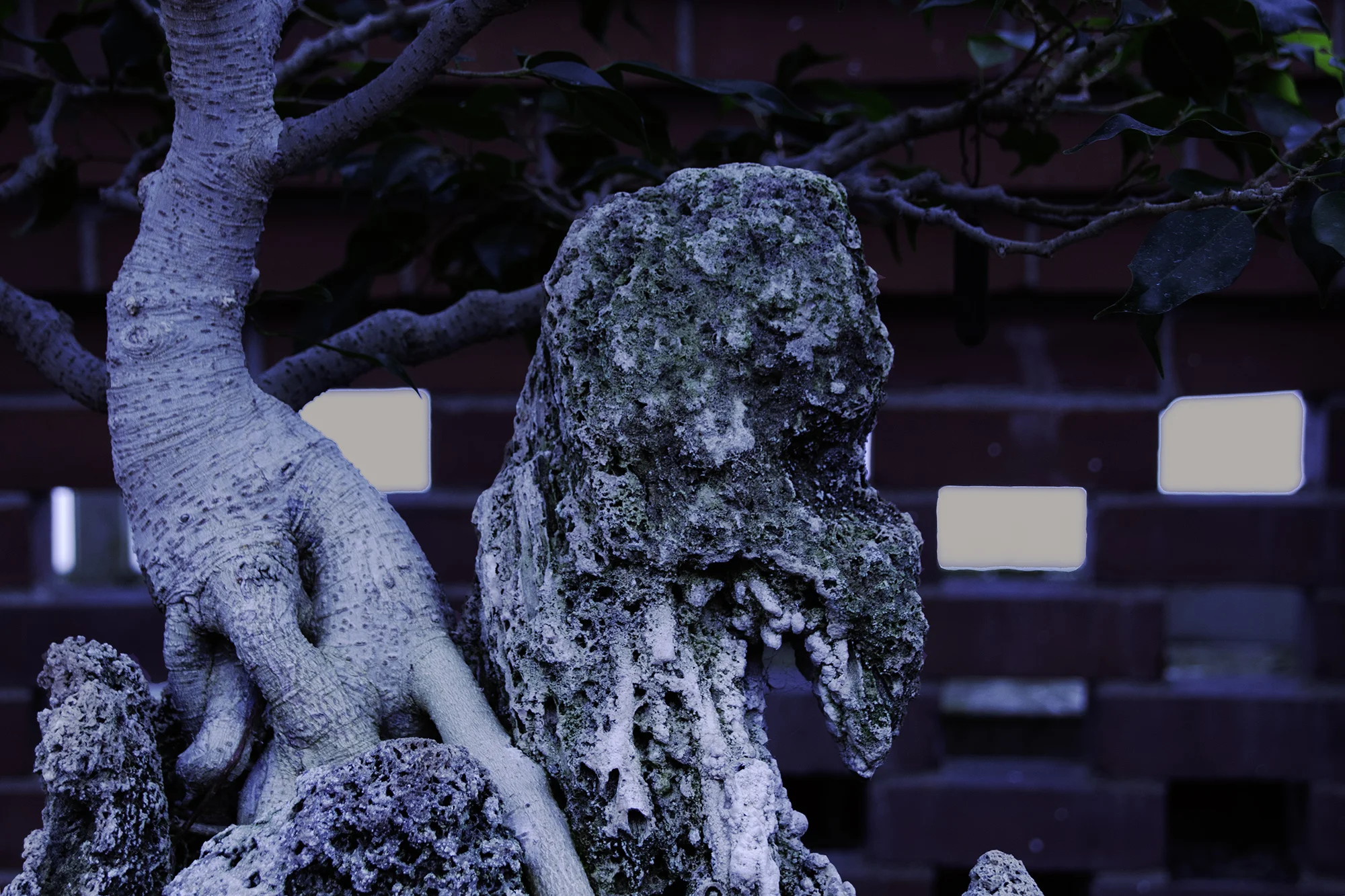 Frozen Creature Blue.jpg