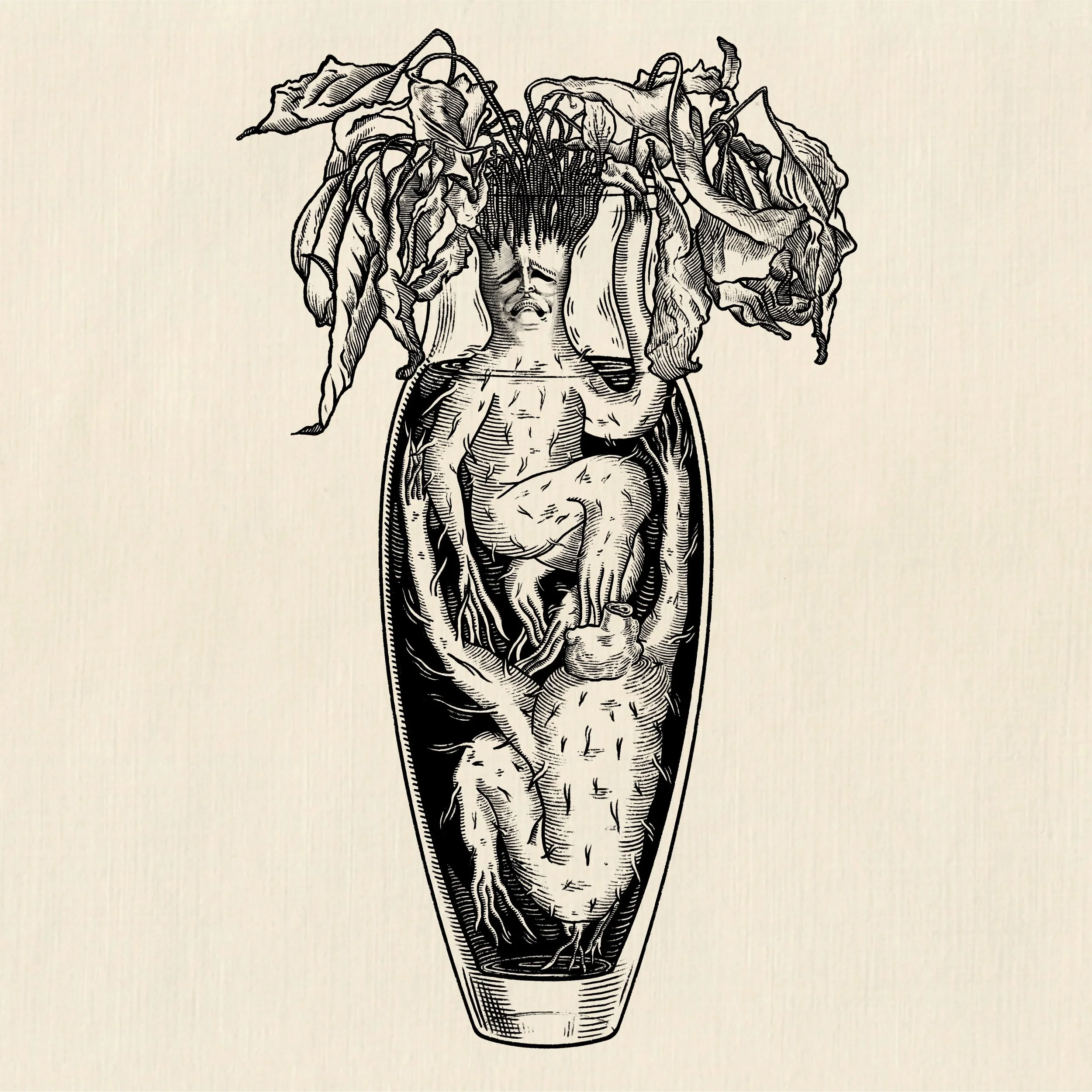 Ginseng-min.jpg