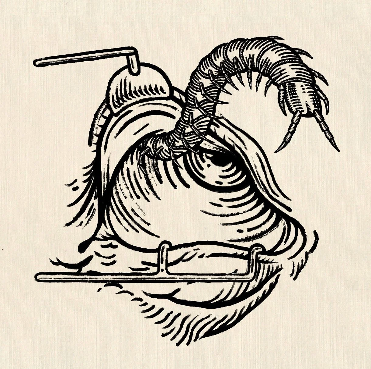 Eye-min.jpg