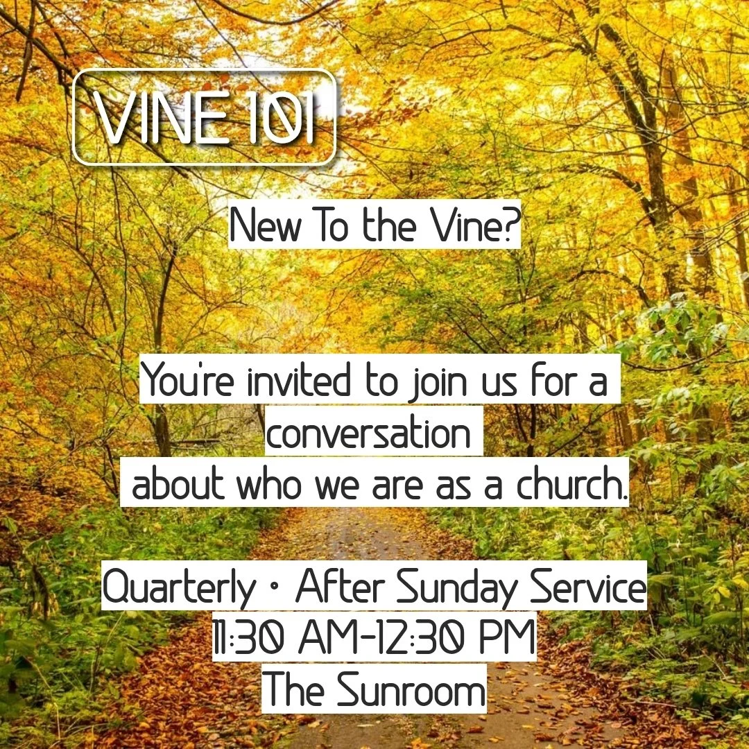 Vine 101 fall.jpg