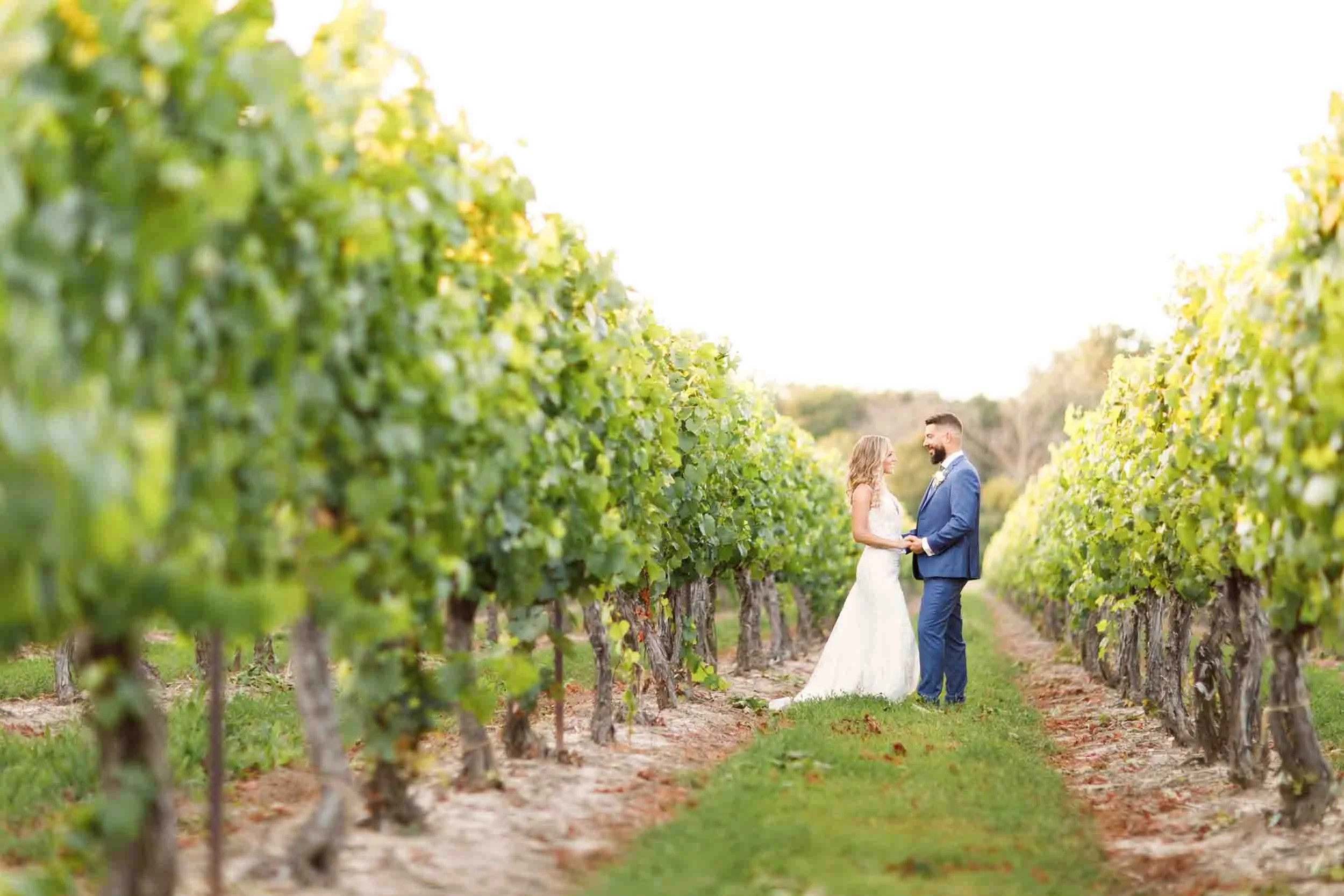 Romantic vineyard portrait at Kurtz Orchards in Niagara-on-the-Lake