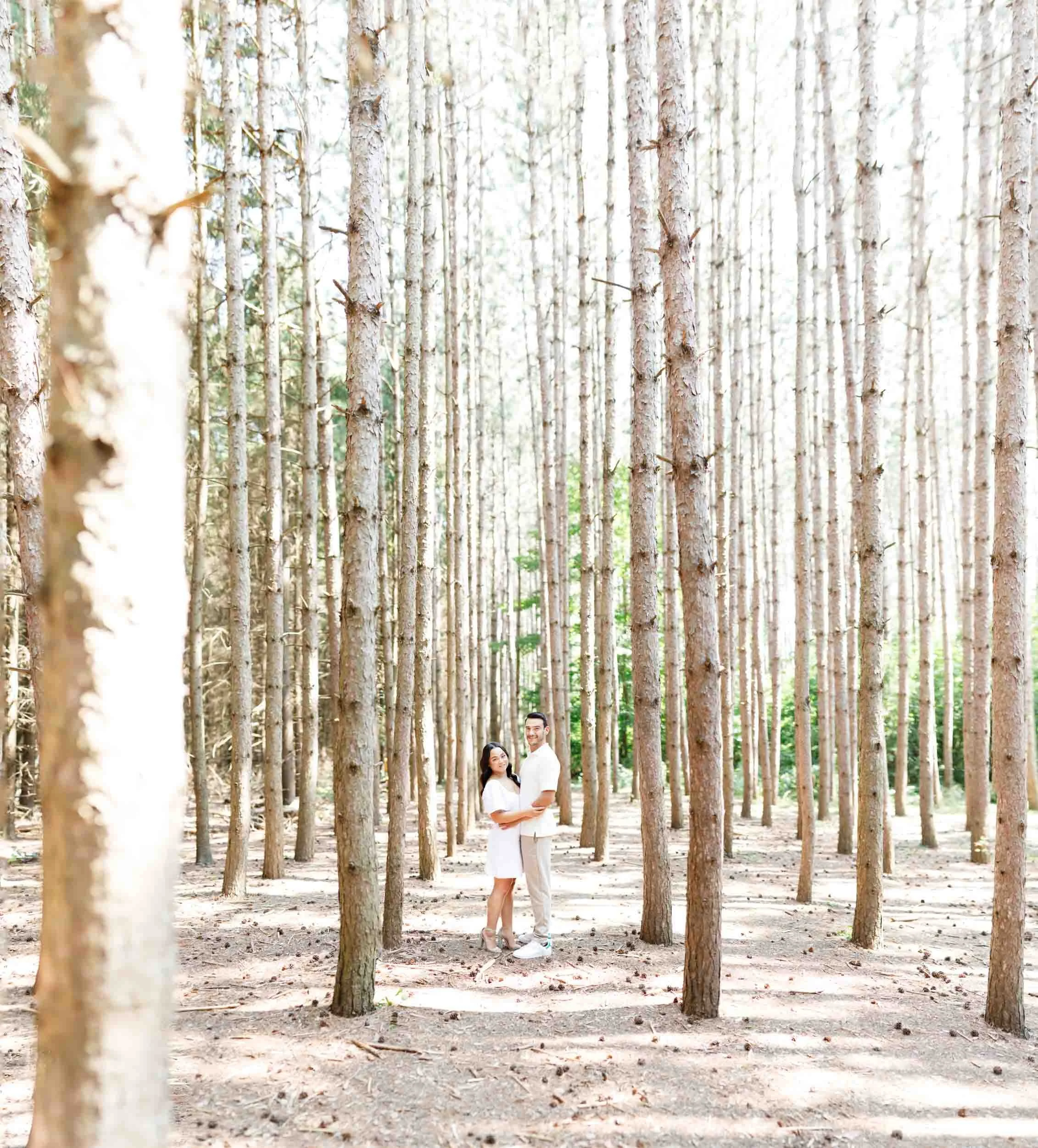 Wide engagement photo of a couple surrounded by tall pine trees at Kortright Centre for Conservation in Woodbridge Ontario