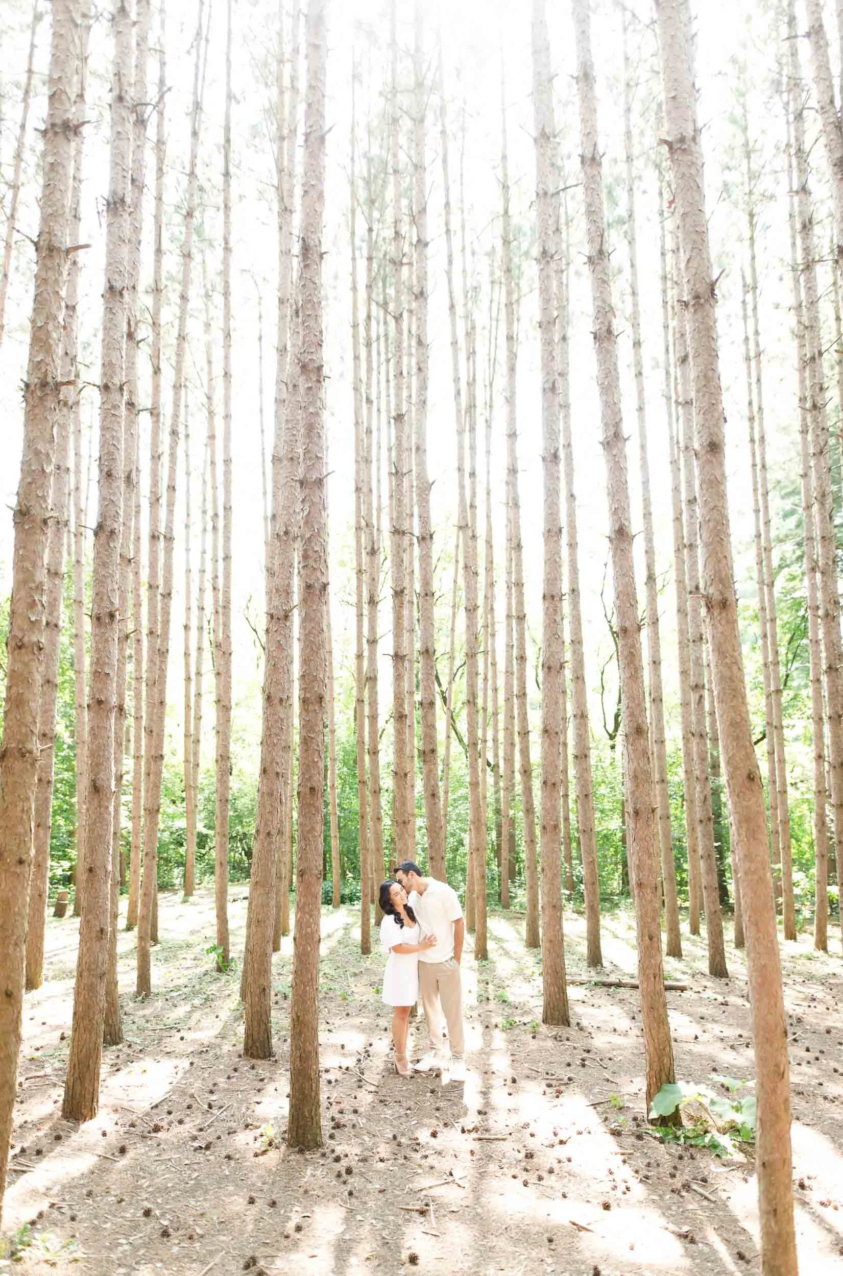 Wide engagement portrait among pine trees at Kortright Centre for Conservation in Woodbridge, Ontario