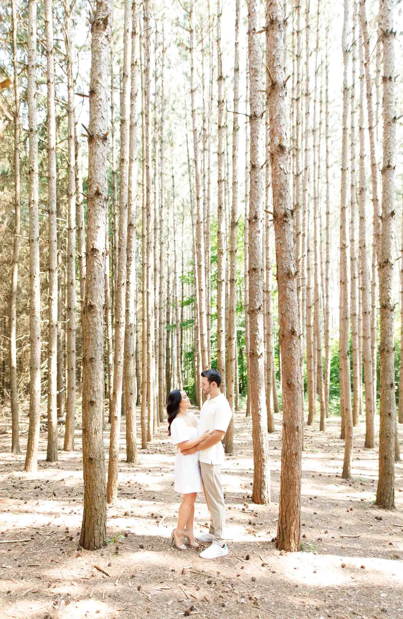 Couple hugging among tall pine trees during their Kortright Centre engagement session in Woodbridge, Ontario