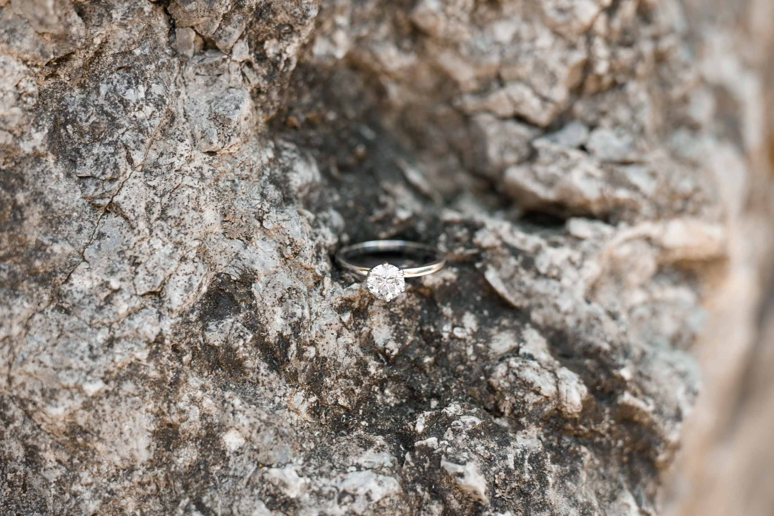 Engagement ring resting on tree bark photographed at Kortright Centre in Woodbridge, Ontario