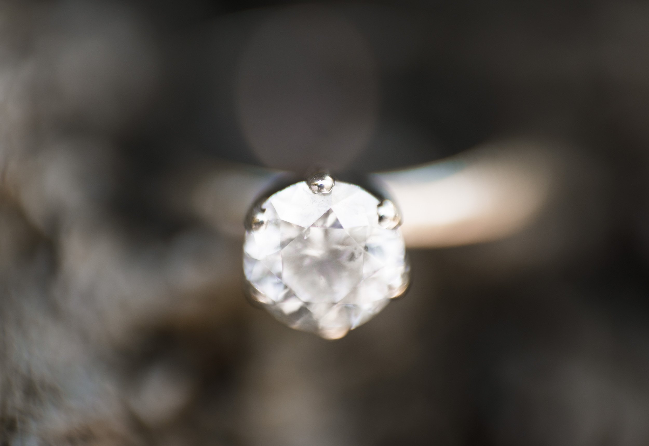 Close-up macro of diamond engagement ring during Kortright Centre engagement session in Woodbridge, Ontario