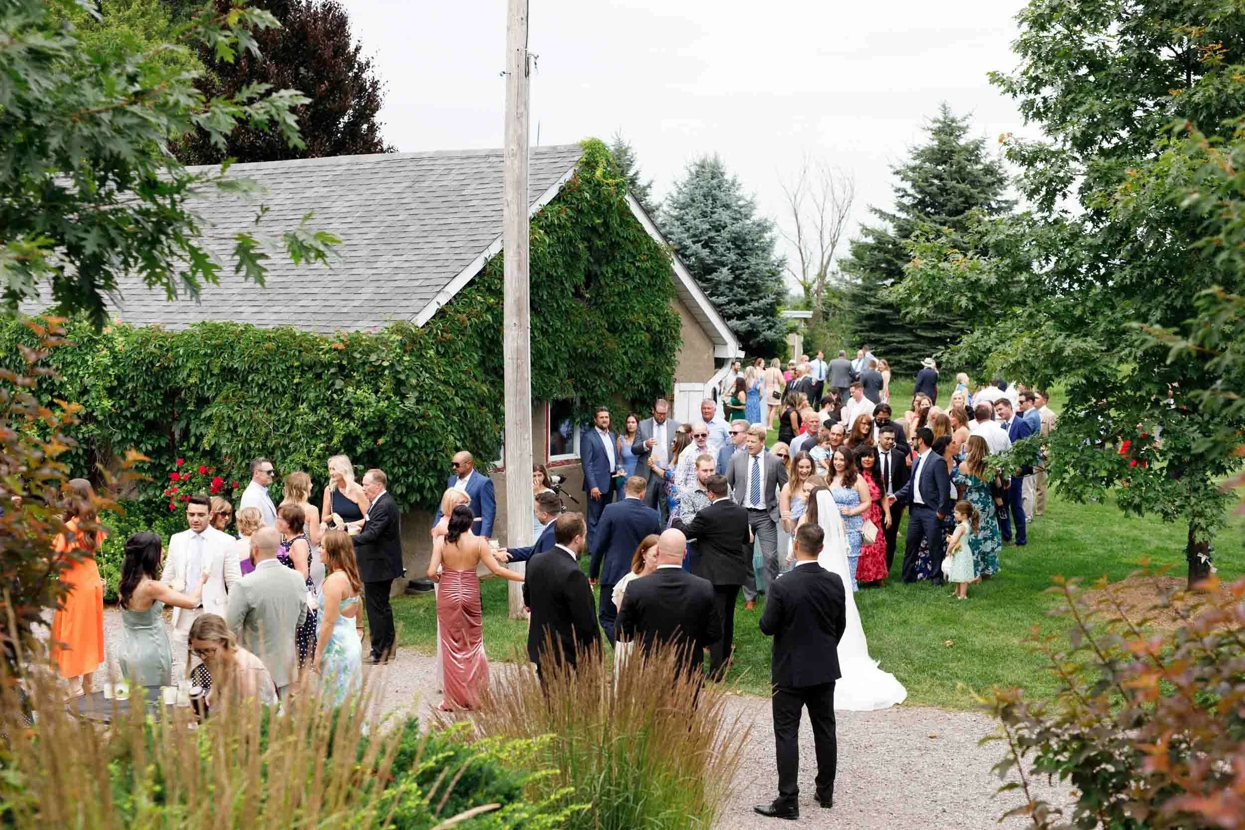 Guests gathering after the outdoor ceremony at Cambium Farms in Alton, Ontario