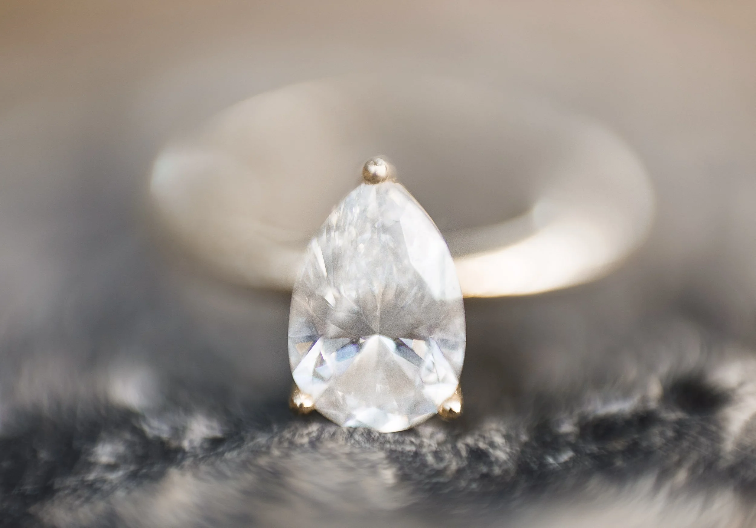 Macro engagement ring photo during a fall engagement session at Grindstone Marsh Trail in Burlington Ontario