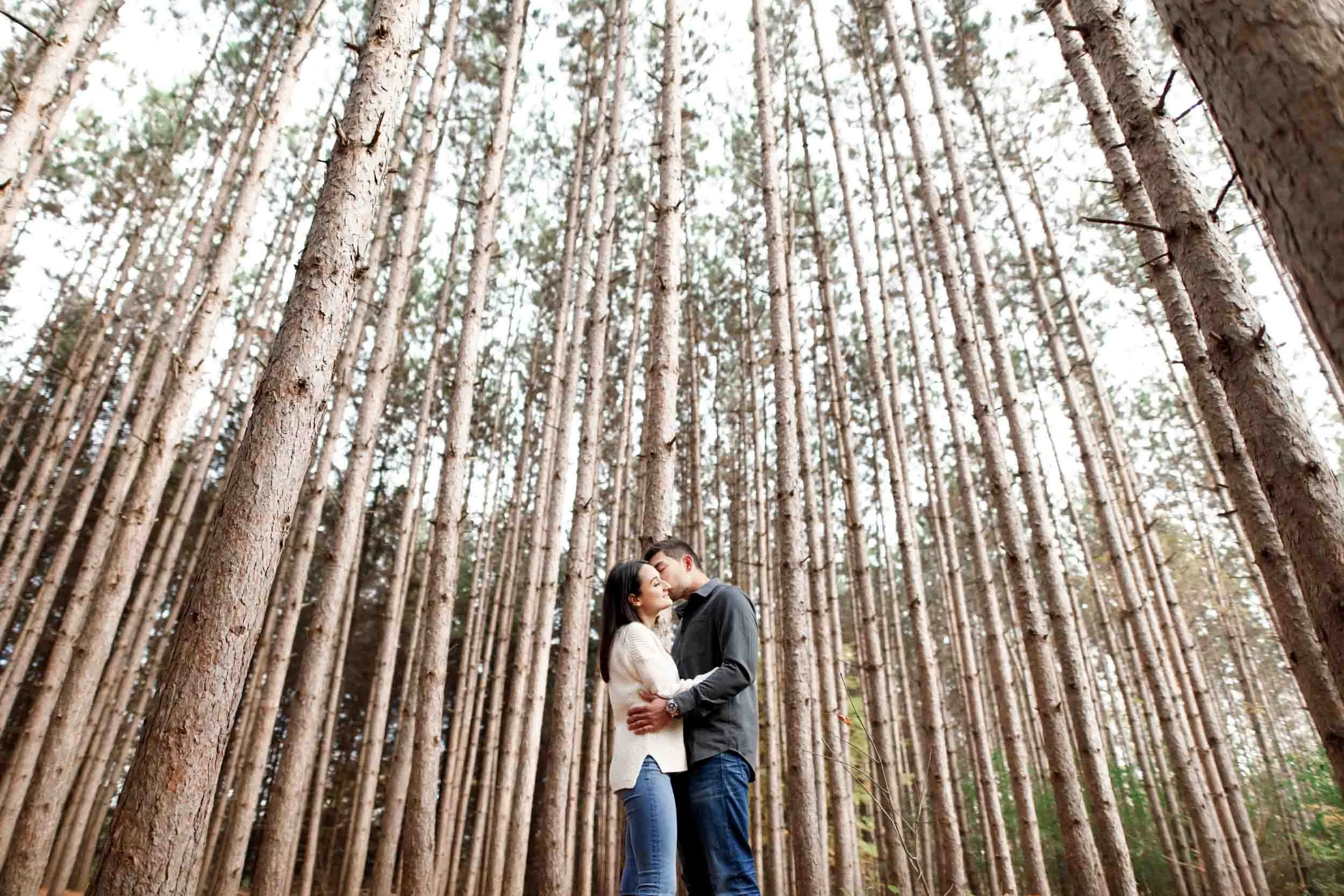 Couple embracing beneath tall trees during a Kortright Centre engagement session (Copy)