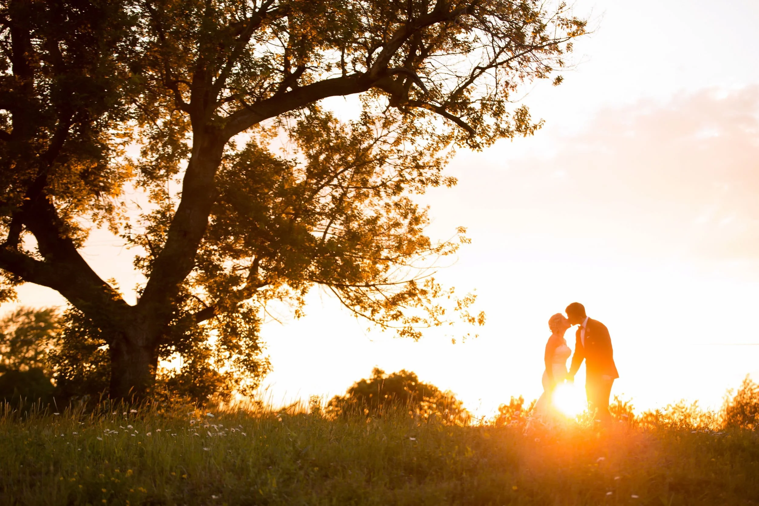 Golden hour couple kissing at sunset portrait at The Hare and Wine Co in Niagara-on-the-Lake (Copy)