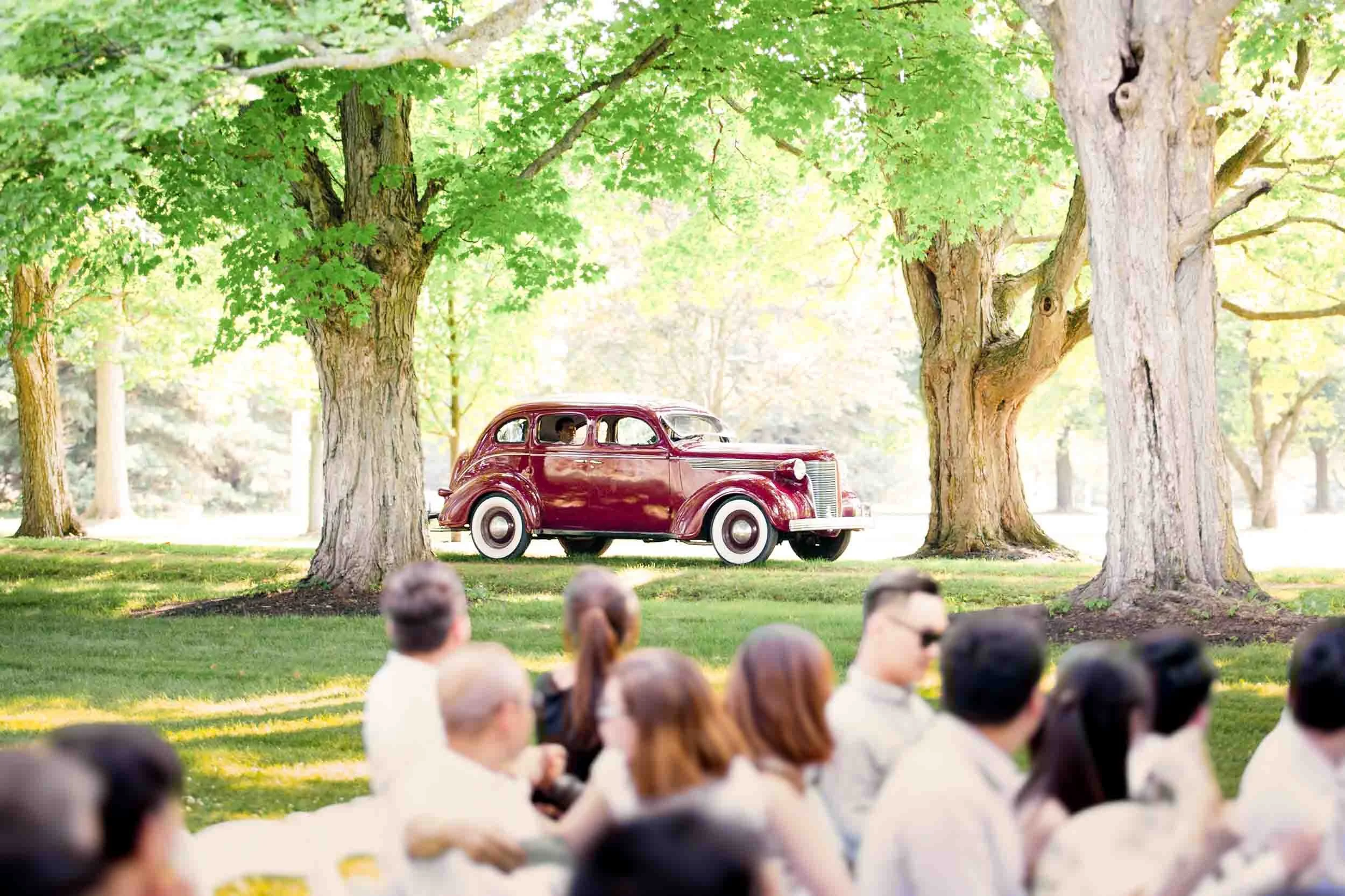 Wedding guests seated outdoors beneath trees with vintage car at a Niagara Region wedding approaching the ceremony (Copy)