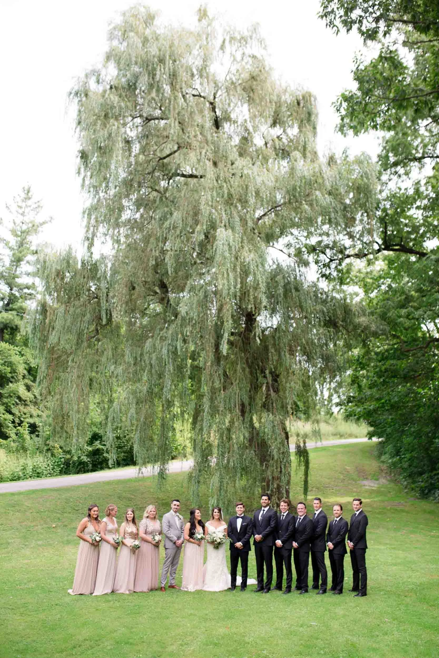 Wide wedding party portrait beneath a willow tree at Balls Falls Conservation Area in Lincoln (Copy)