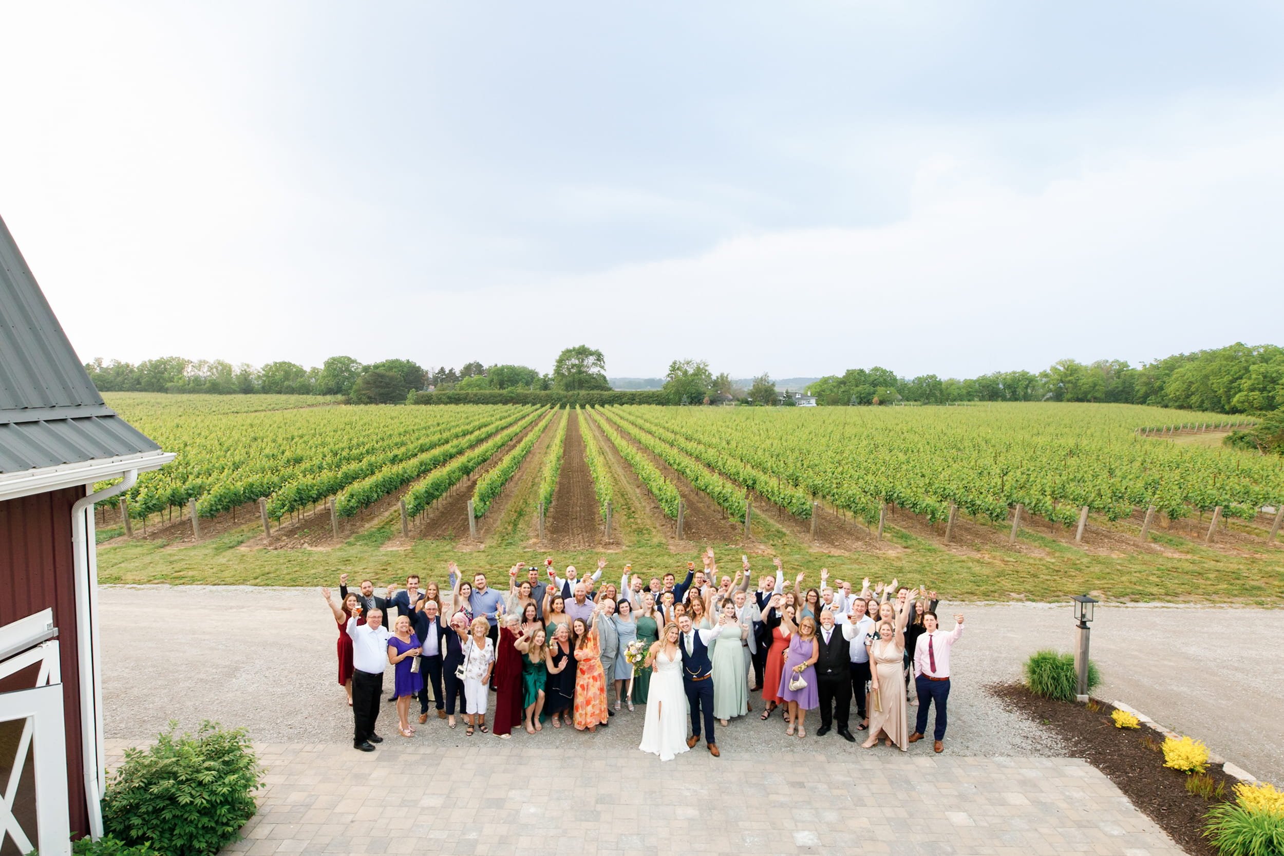 Aerial view of wedding guests gathered beside vineyard and barn in Niagara-on-the-Lake (Copy)