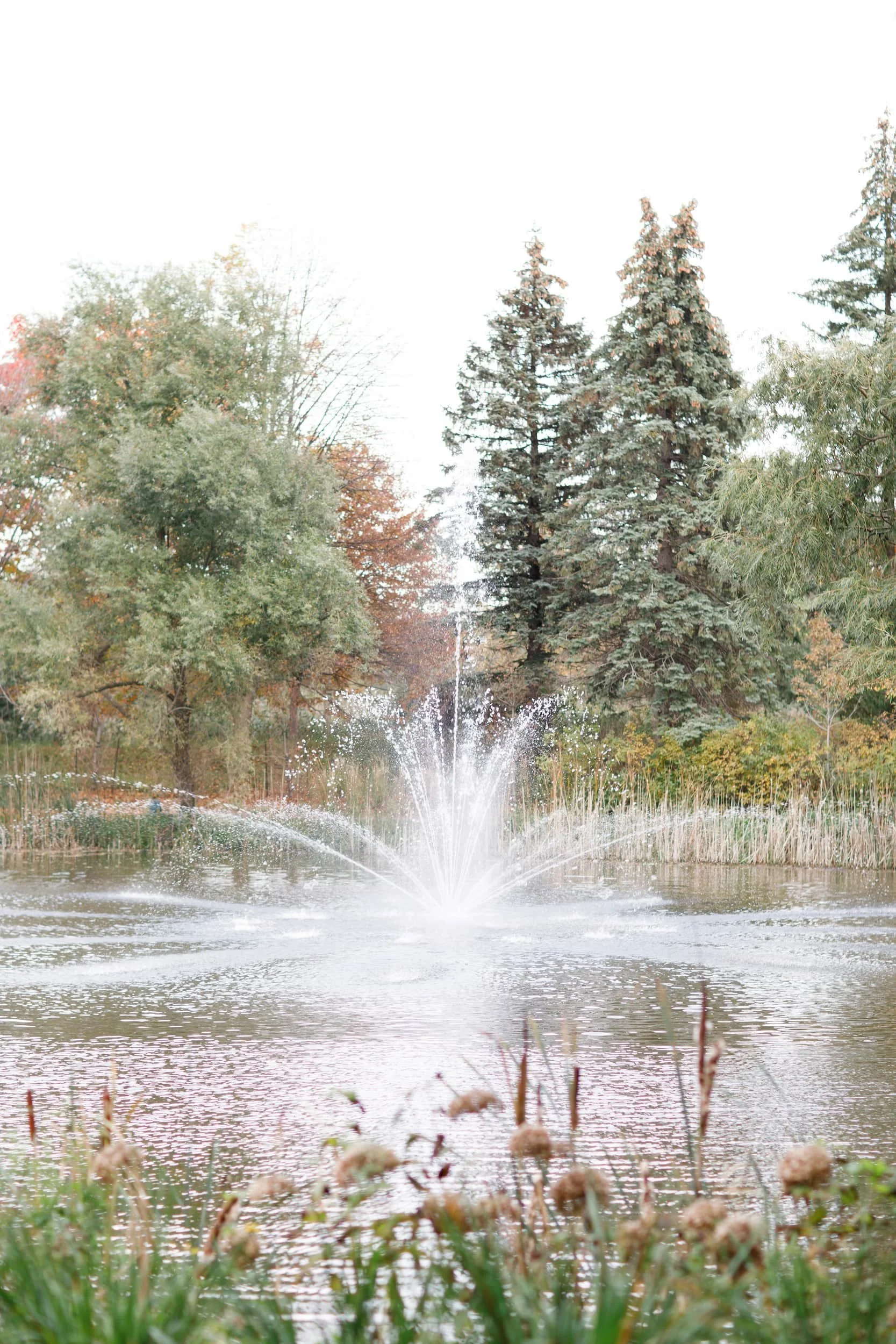 Fountain on the grounds of the Arlington Estate in Vaughan