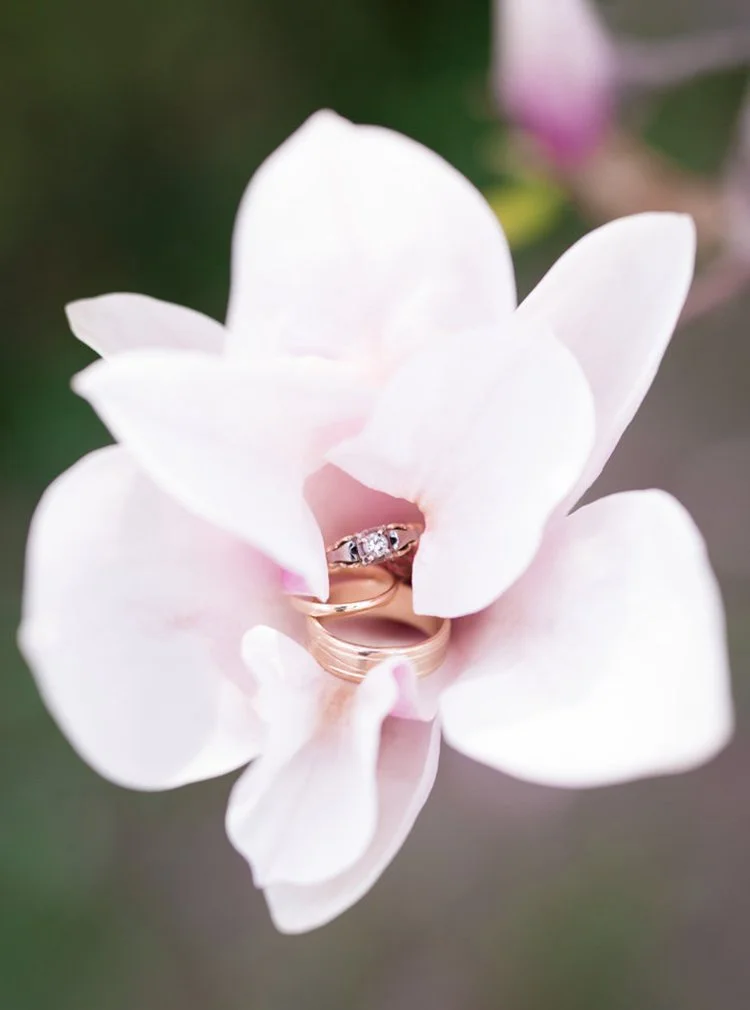 Engagement and wedding rings in a flower detail photographed at Parkwood National Historic Site in Oshawa, Ontario