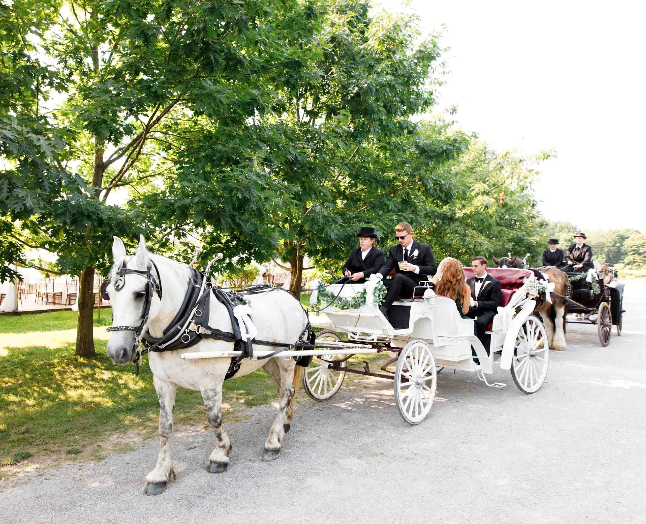 Horse drawn wedding carriage at Gracewood Estate in Niagara-on-the-Lake