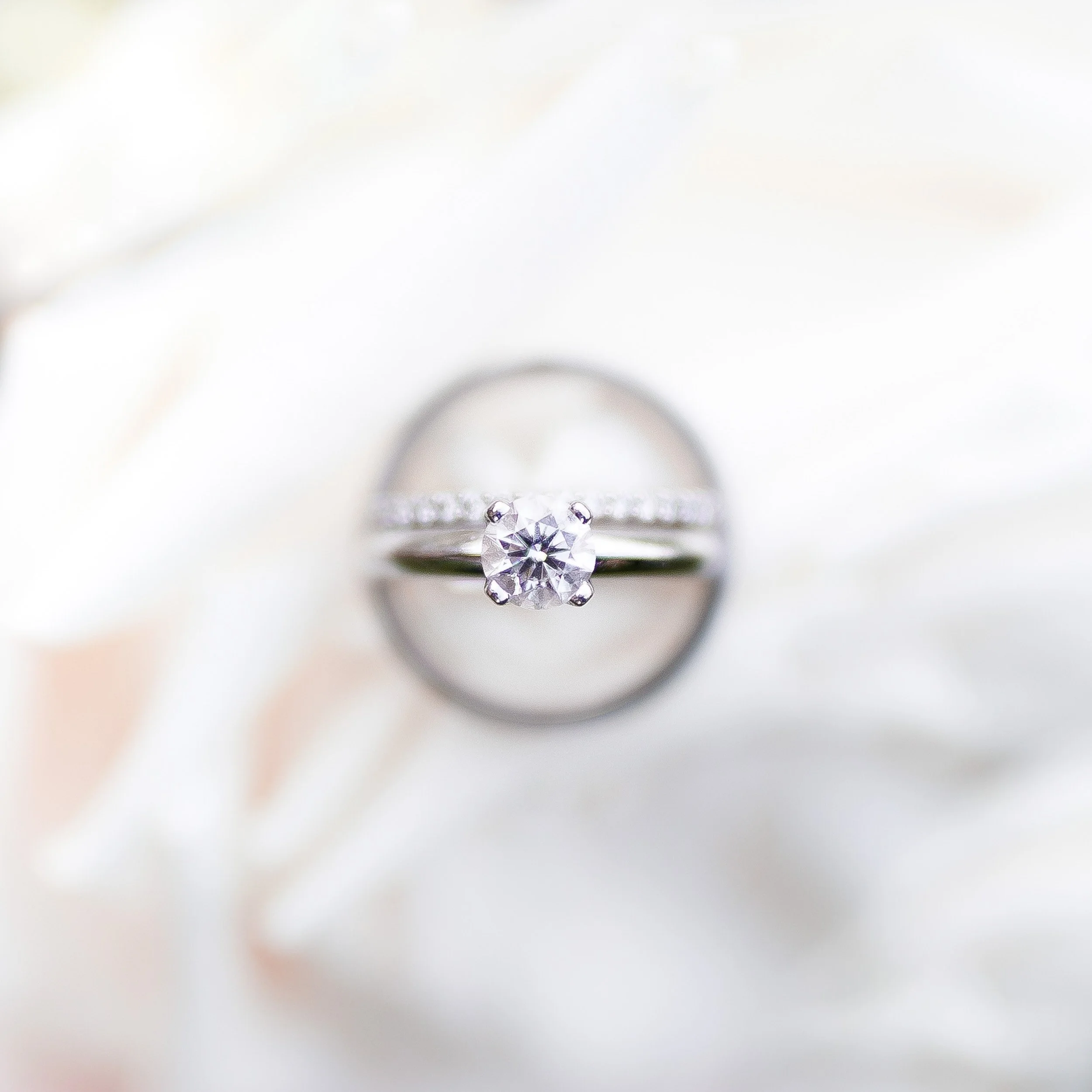 Rebekah & Jasper's Wedding Photography Gallery