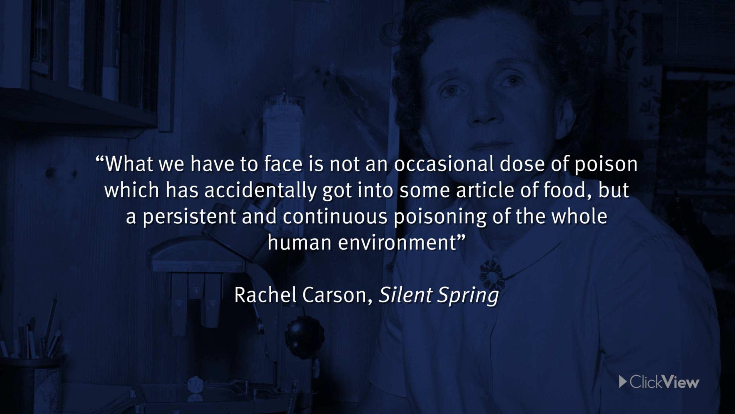 Screenshot 2024-11-20 140708.png