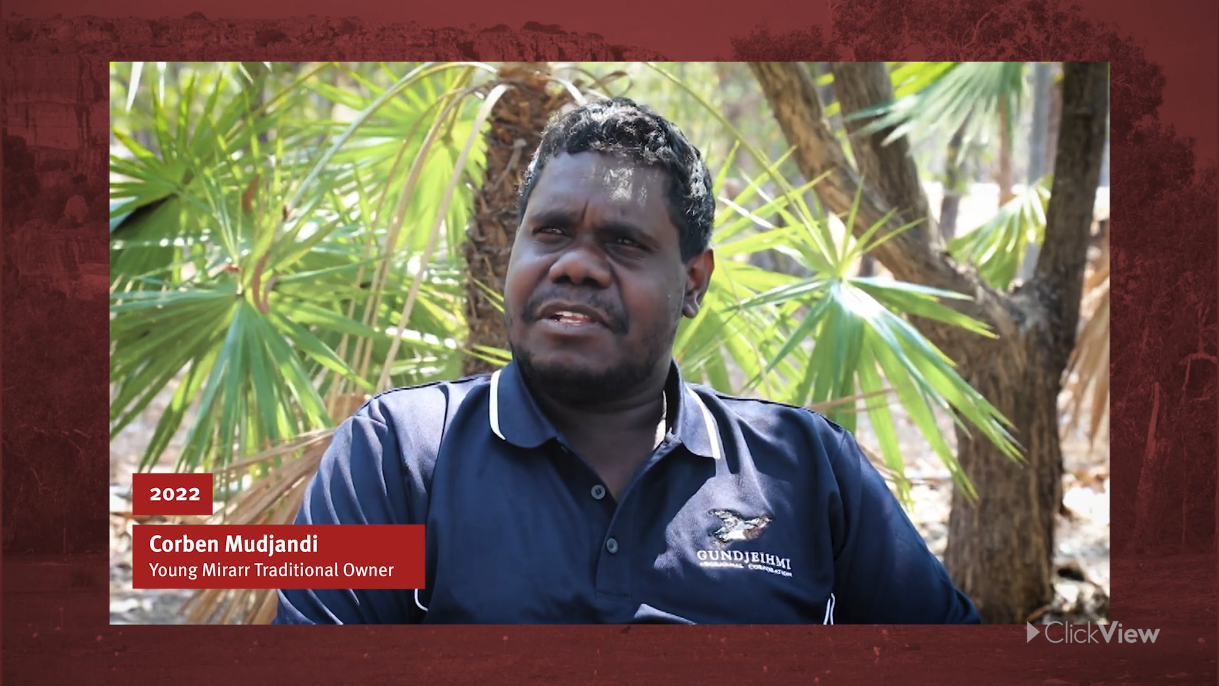 Screenshot 2024-11-20 140400.png