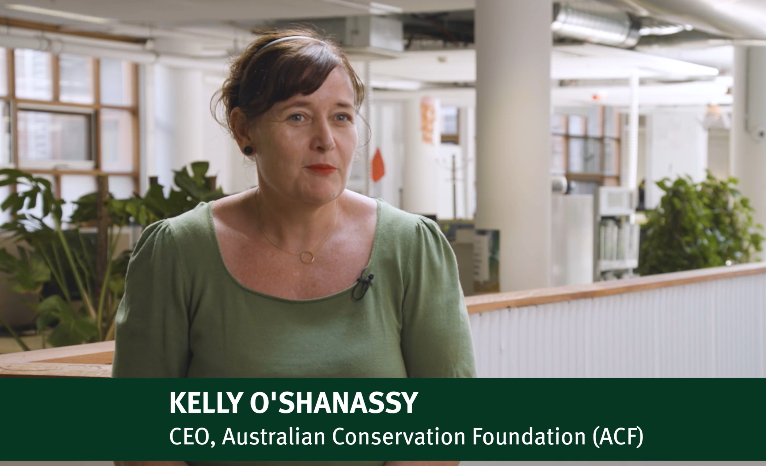 Screenshot 2024-11-20 135057.png