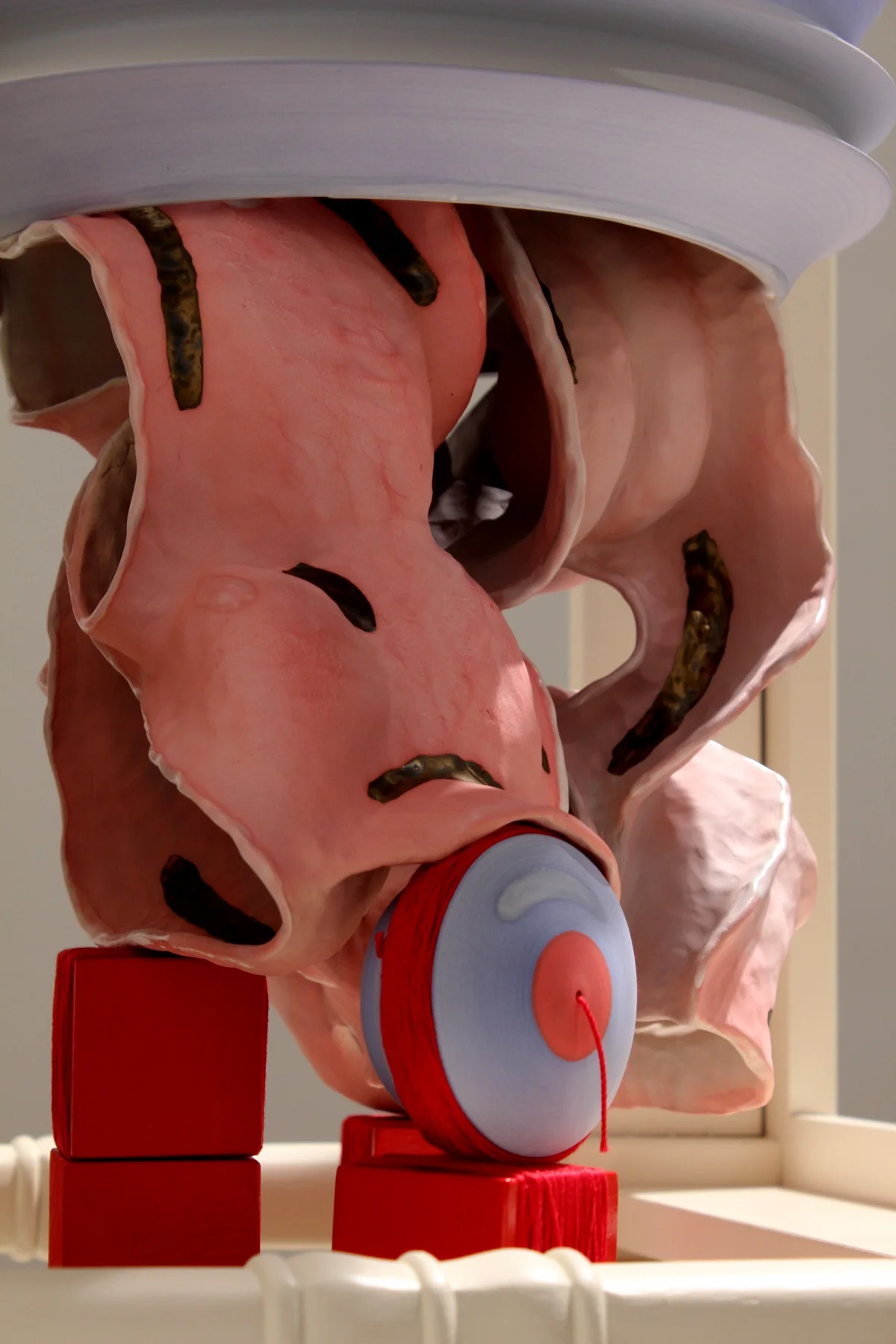closeupofalter11redor1SITE.jpg