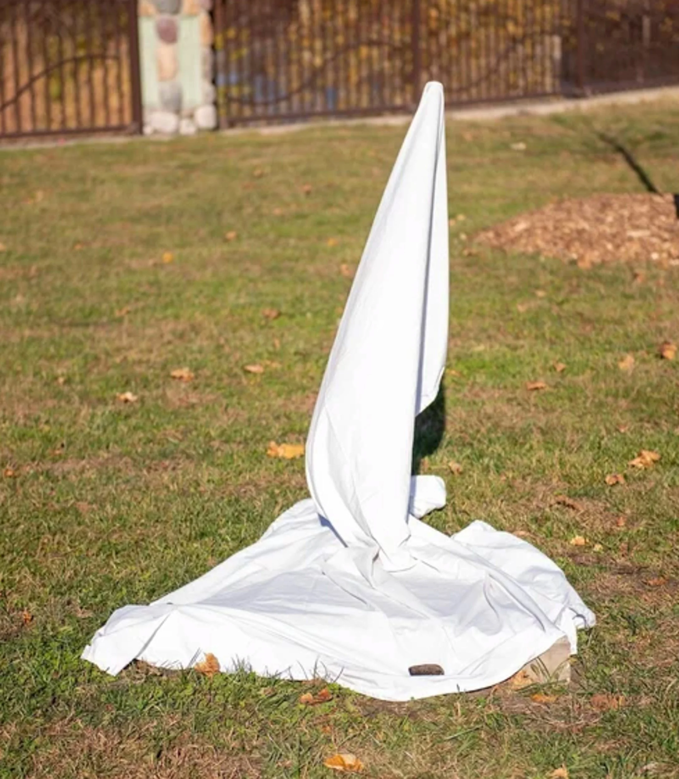 unveil.jpg