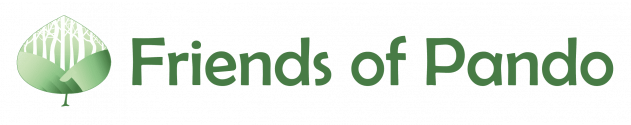 Friends-of-Pando-Logo-Horizontal-green-poz3ijce90tg300fow904qquliyx0540s220exkr9c.png