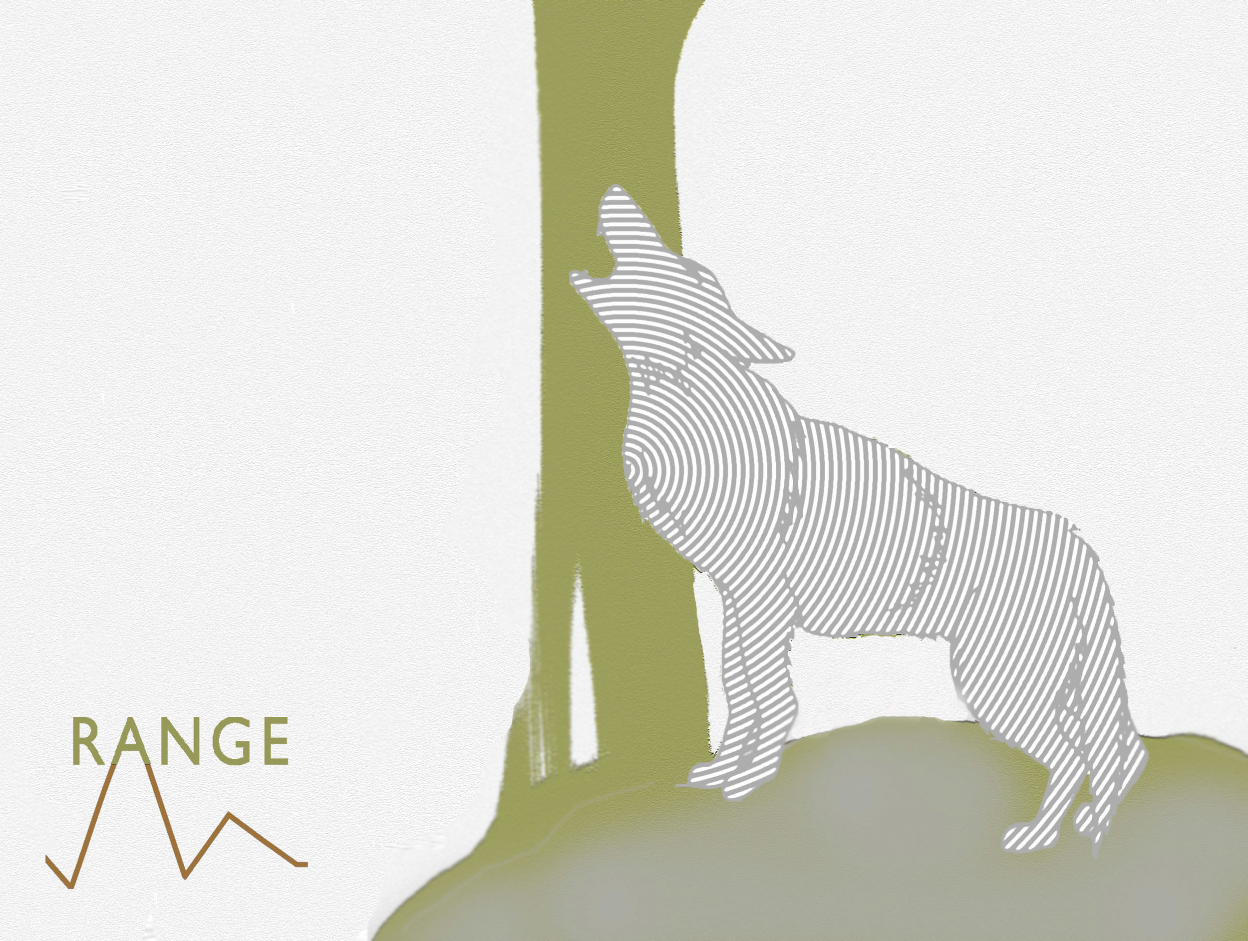 Coyote - Range Image 1 James_Guthman.jpg