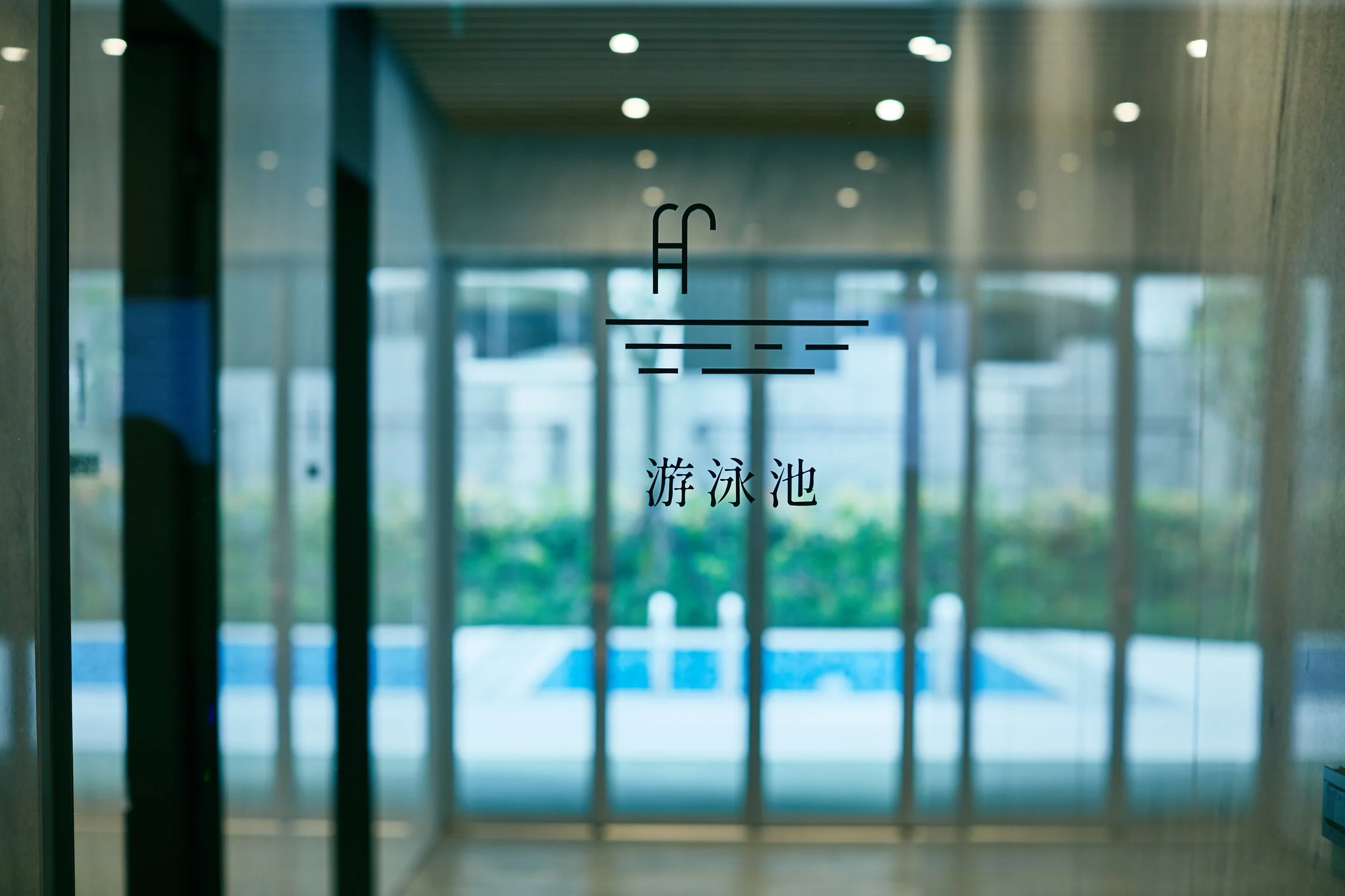 山那階 230516 0137.jpg