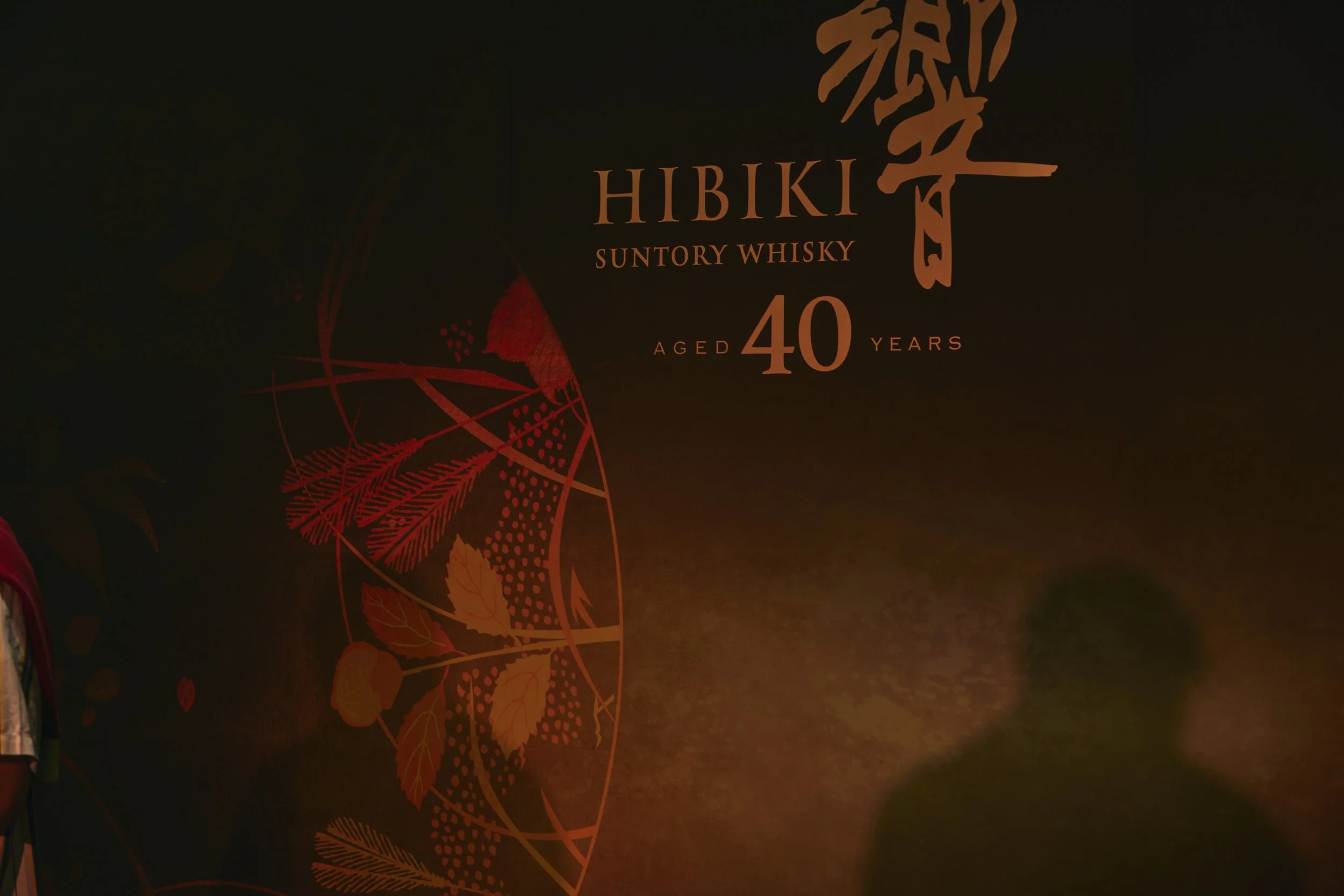 HIBIKI  241030  2582.jpg