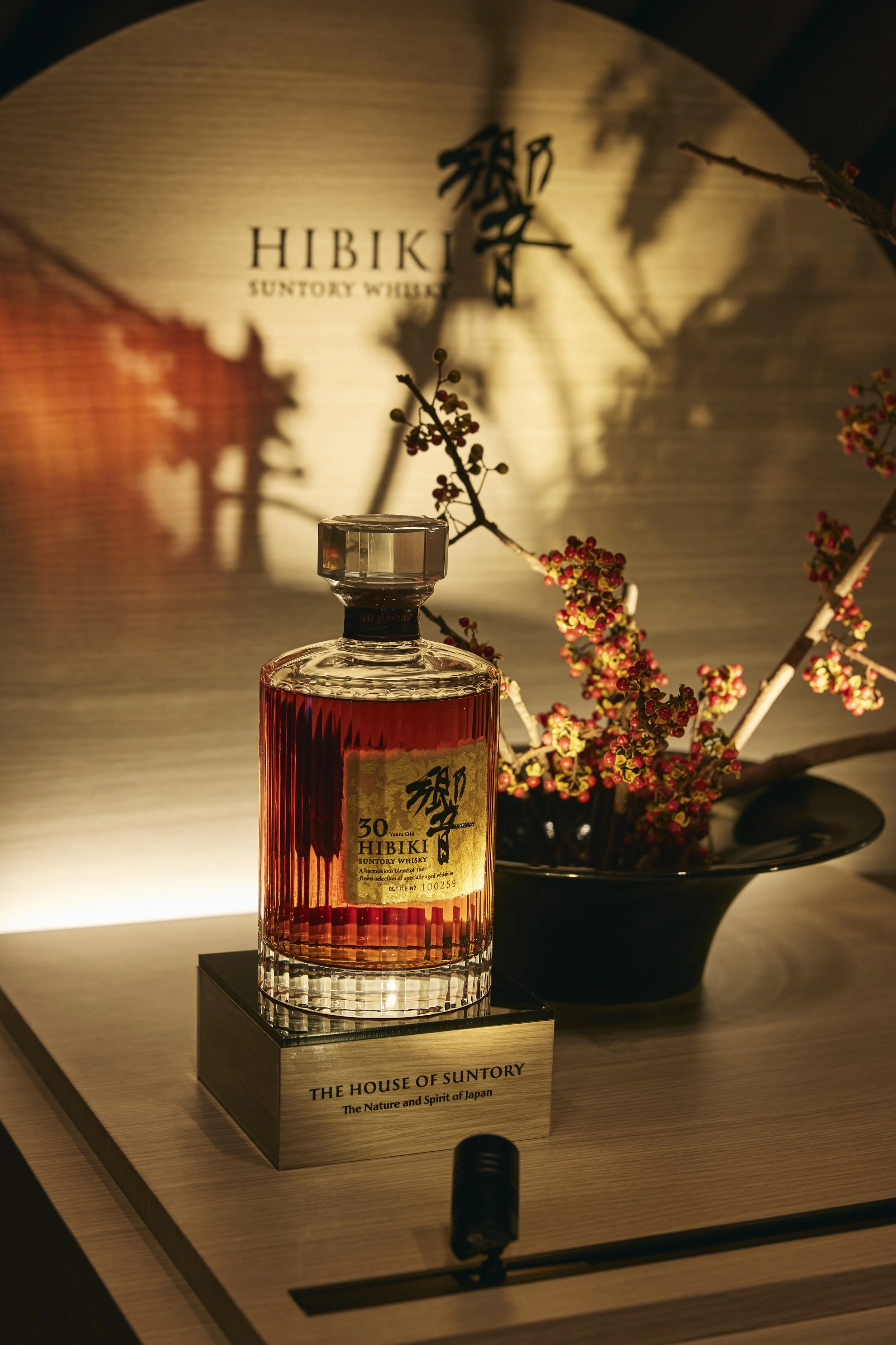 HIBIKI  241030  0015.jpg