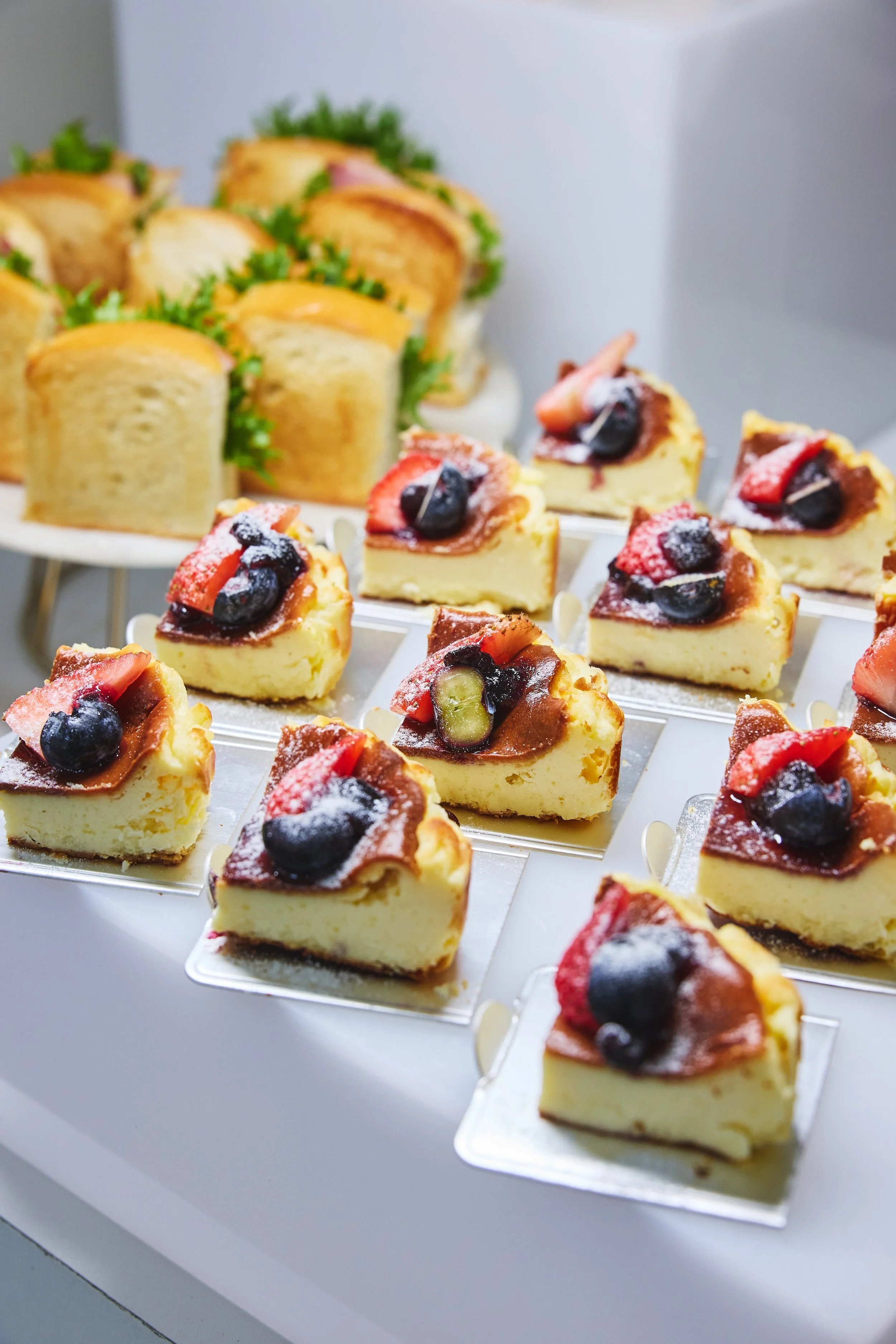 汎思 251106  0576.jpg