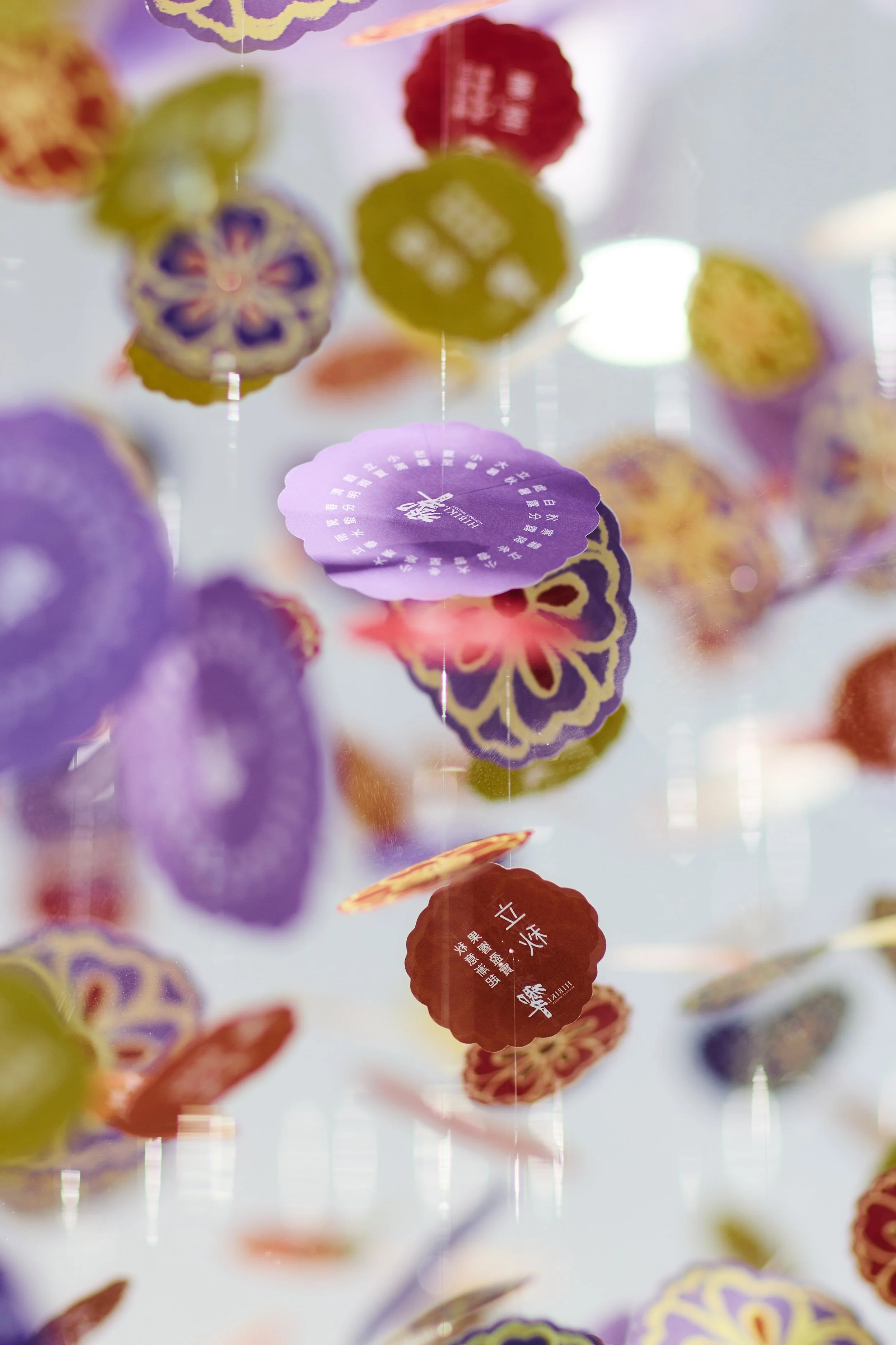 汎思 20260129  0530.jpg