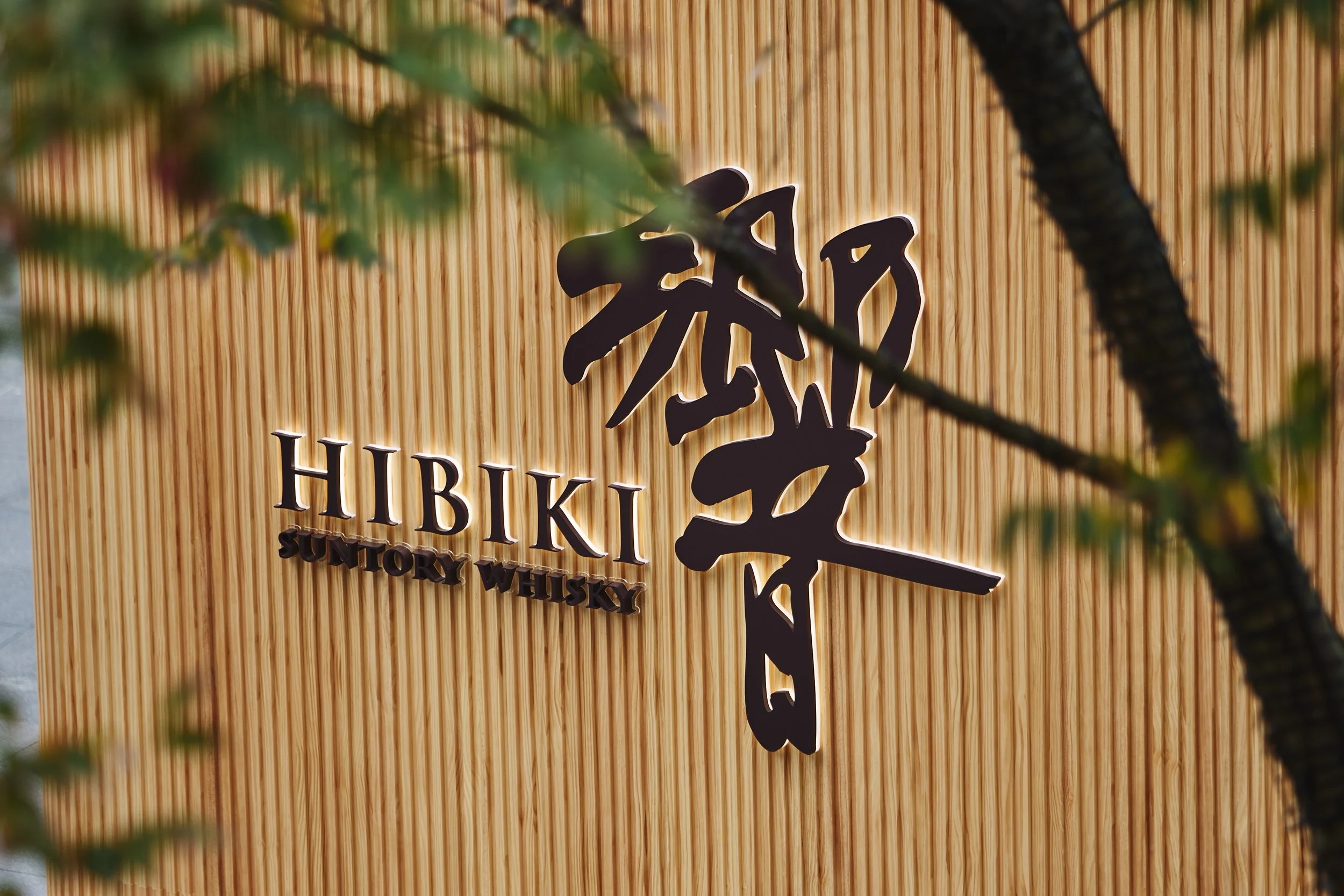 汎思 20260129  0777.jpg