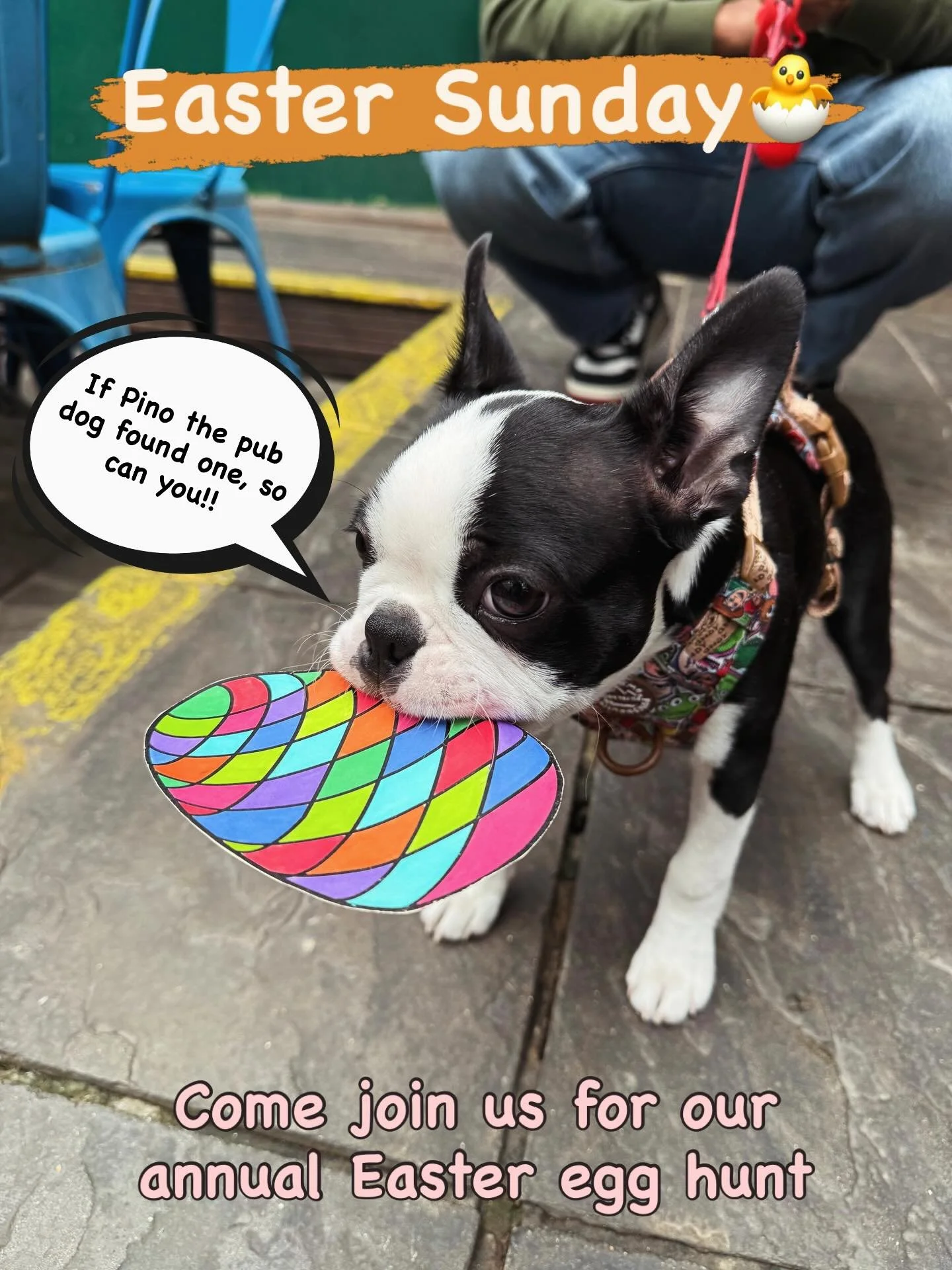 🐣Happy Easter! Join us Sunday, April 5th for our annual Easter egg hunt!!
🪺There will be colourful paper eggs hidden in our beer garden. Found one? Bring it to the bar and claim the prize written on the back. 
💐Hope to see you soon!
⏰Sunday openin