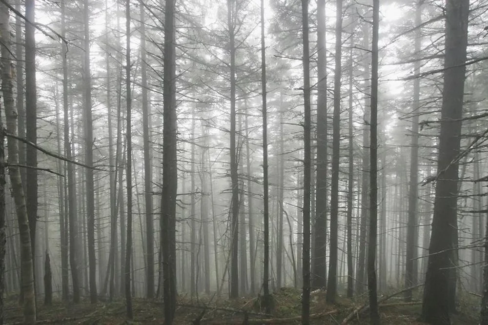 Photo: Heather Daya Rideout